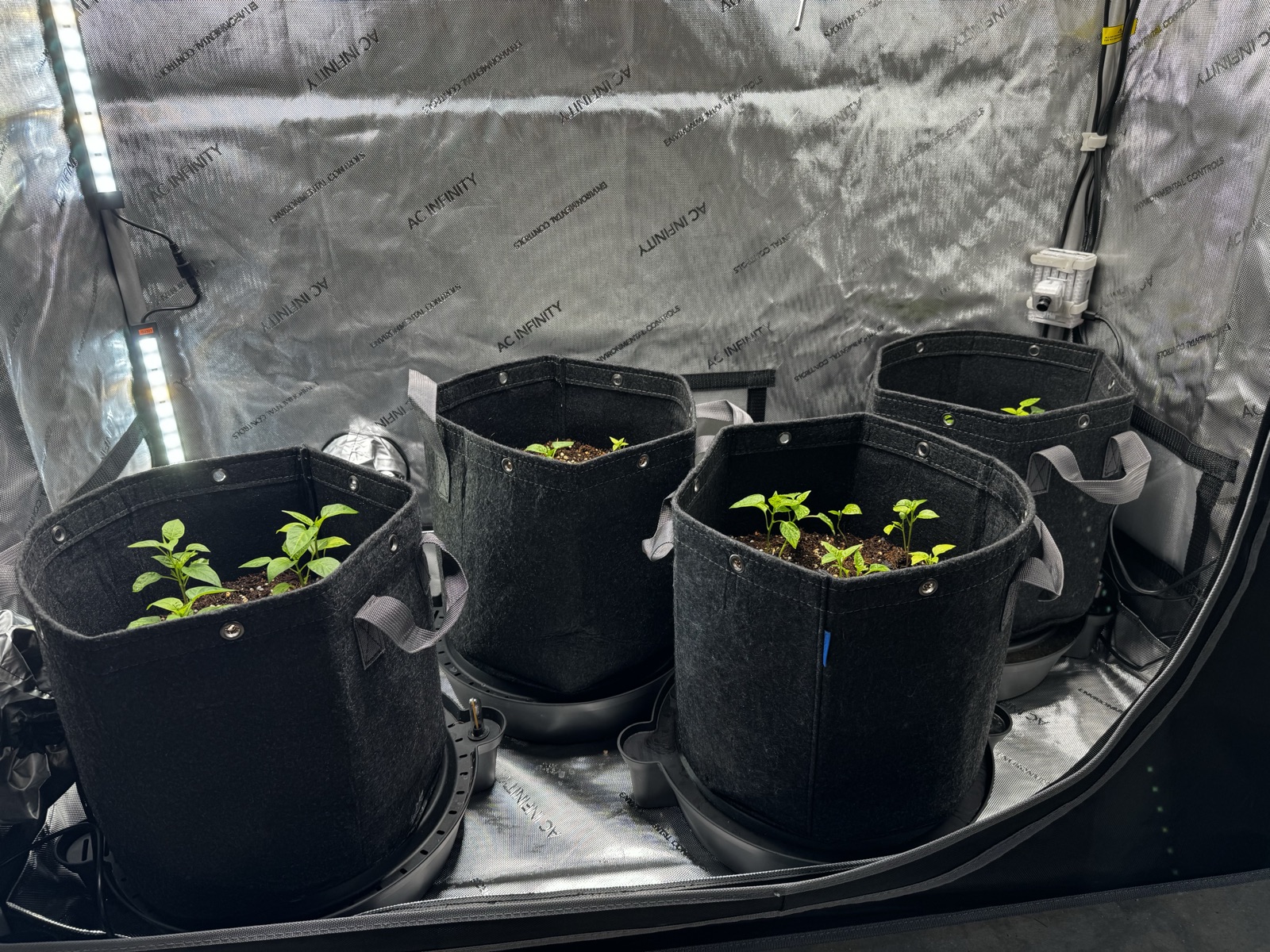 AgroBrain project