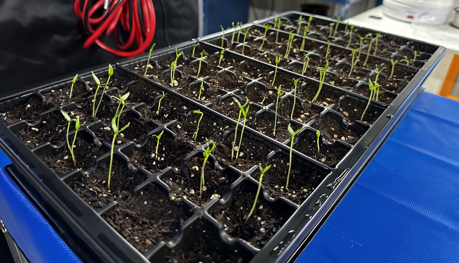 AgroBrain project