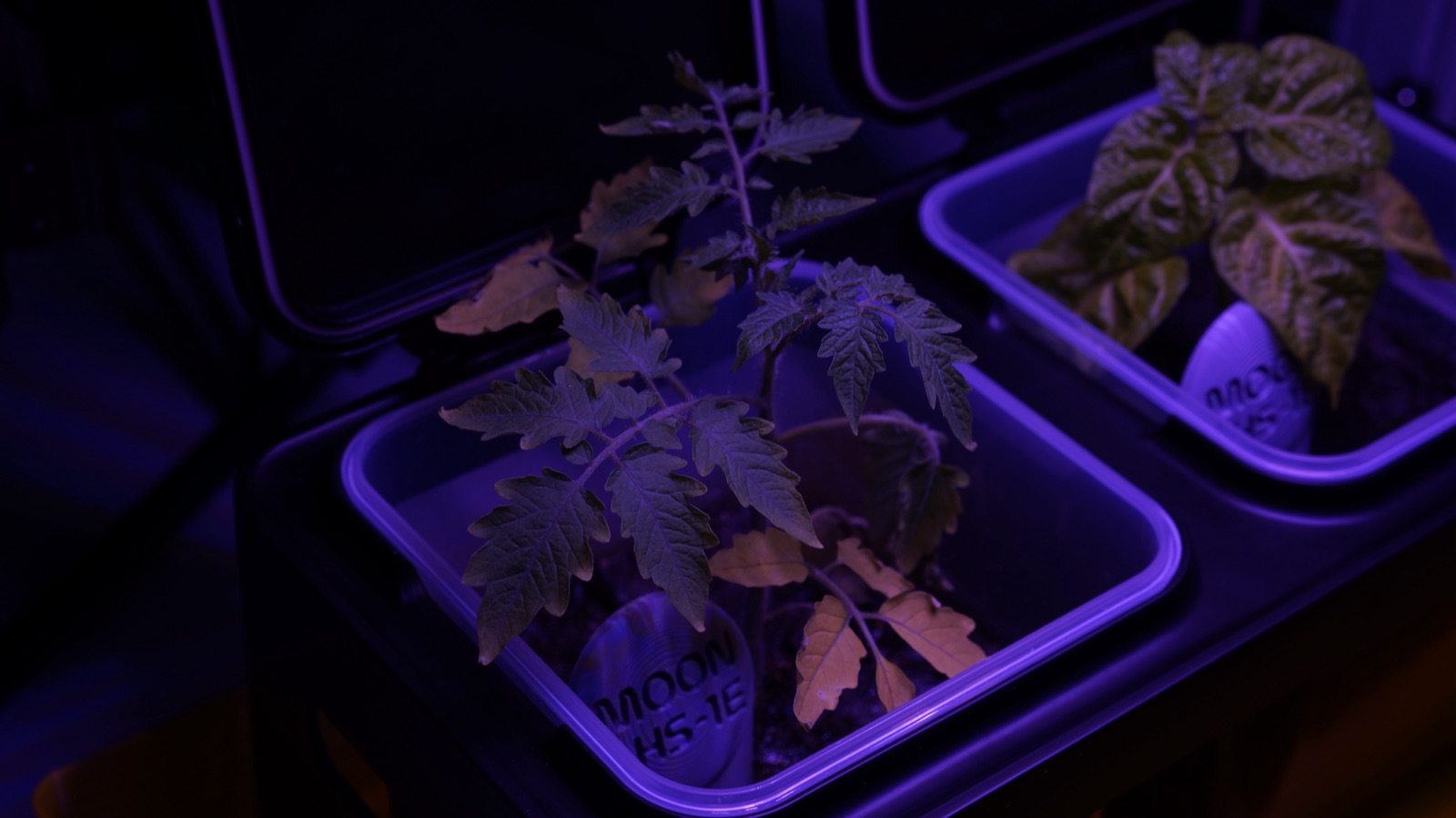 AgroBrain project