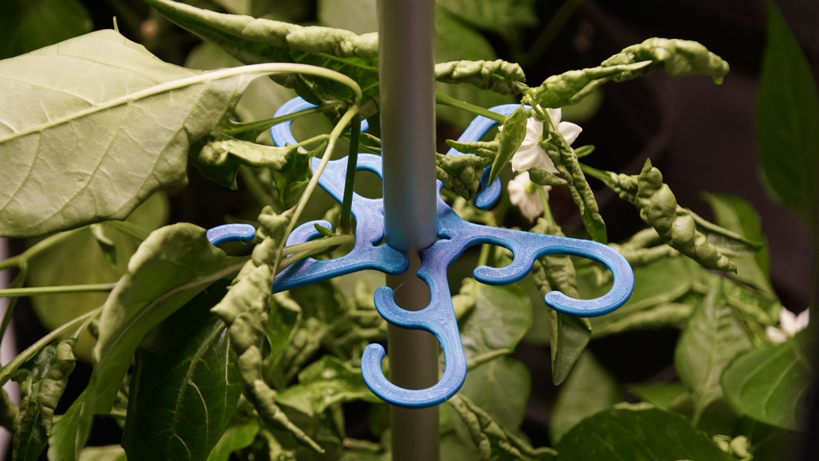AgTech Lab / AgroBrain photo 103