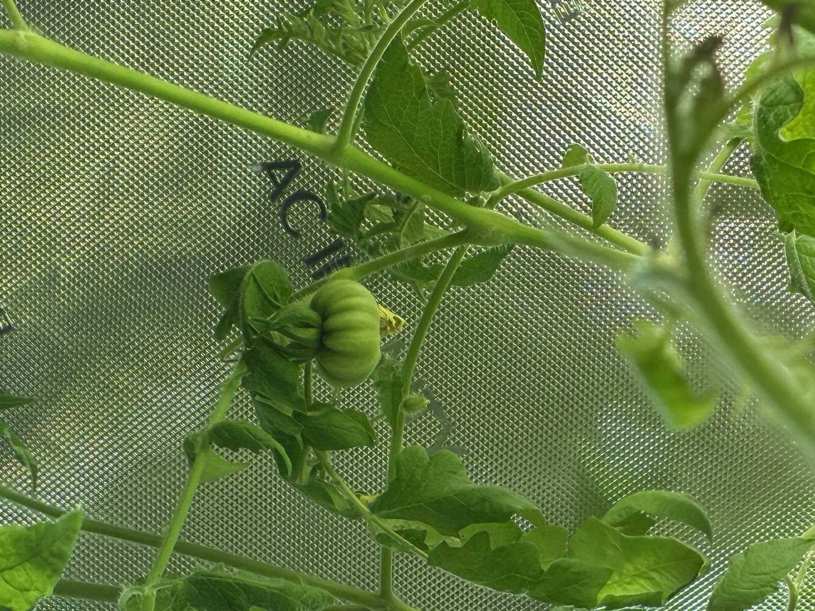 AgTech Lab / AgroBrain photo 112