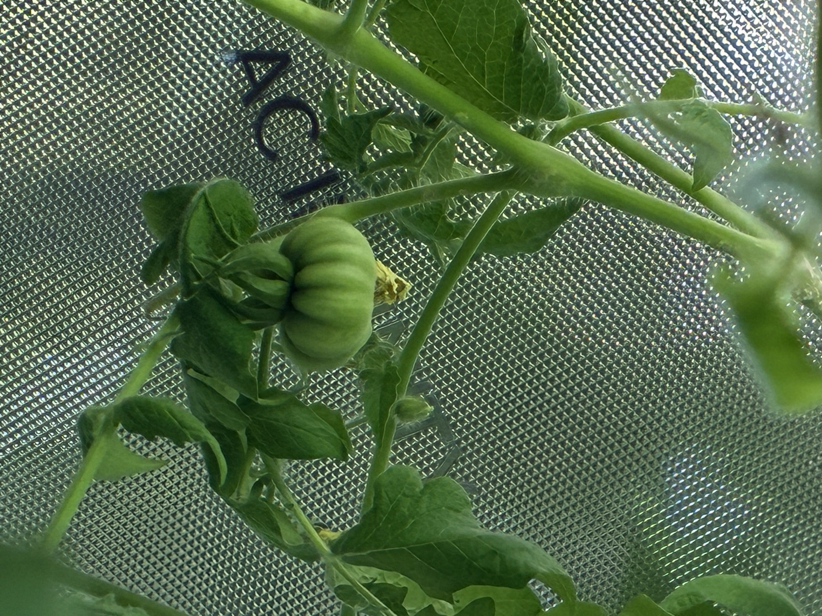 AgTech Lab / AgroBrain photo 113