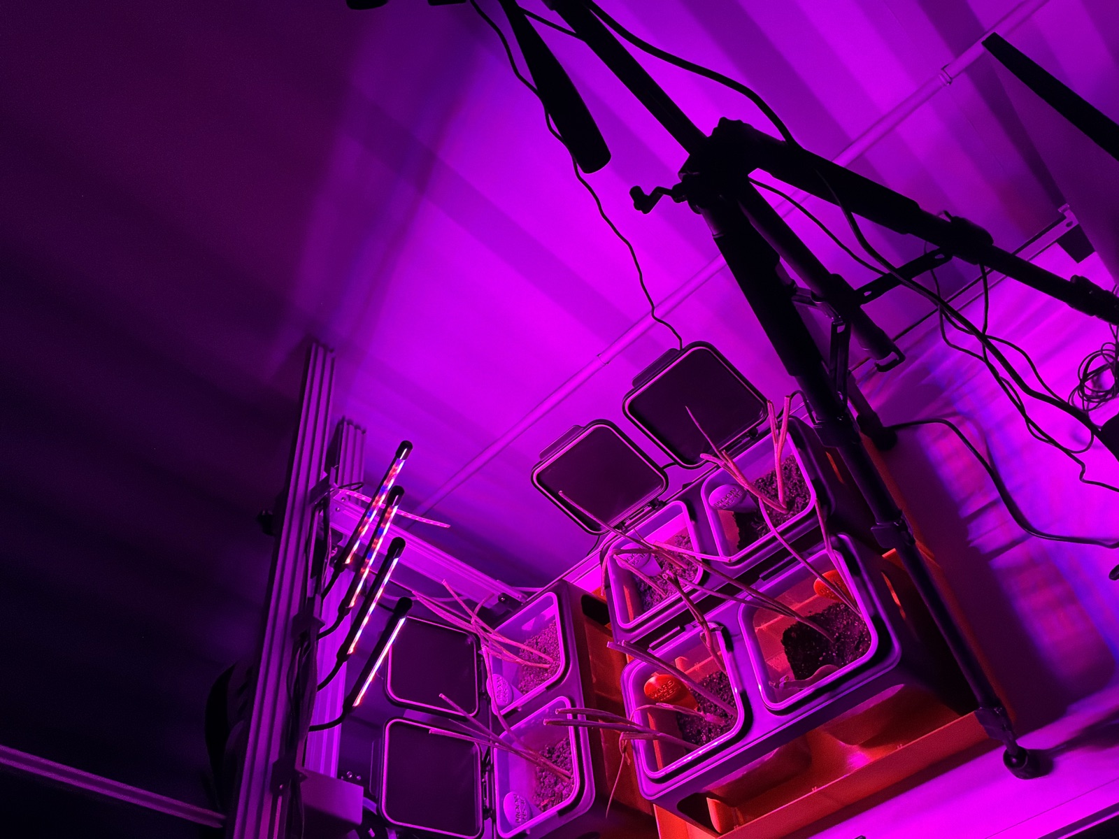 AgTech Lab / AgroBrain photo 115
