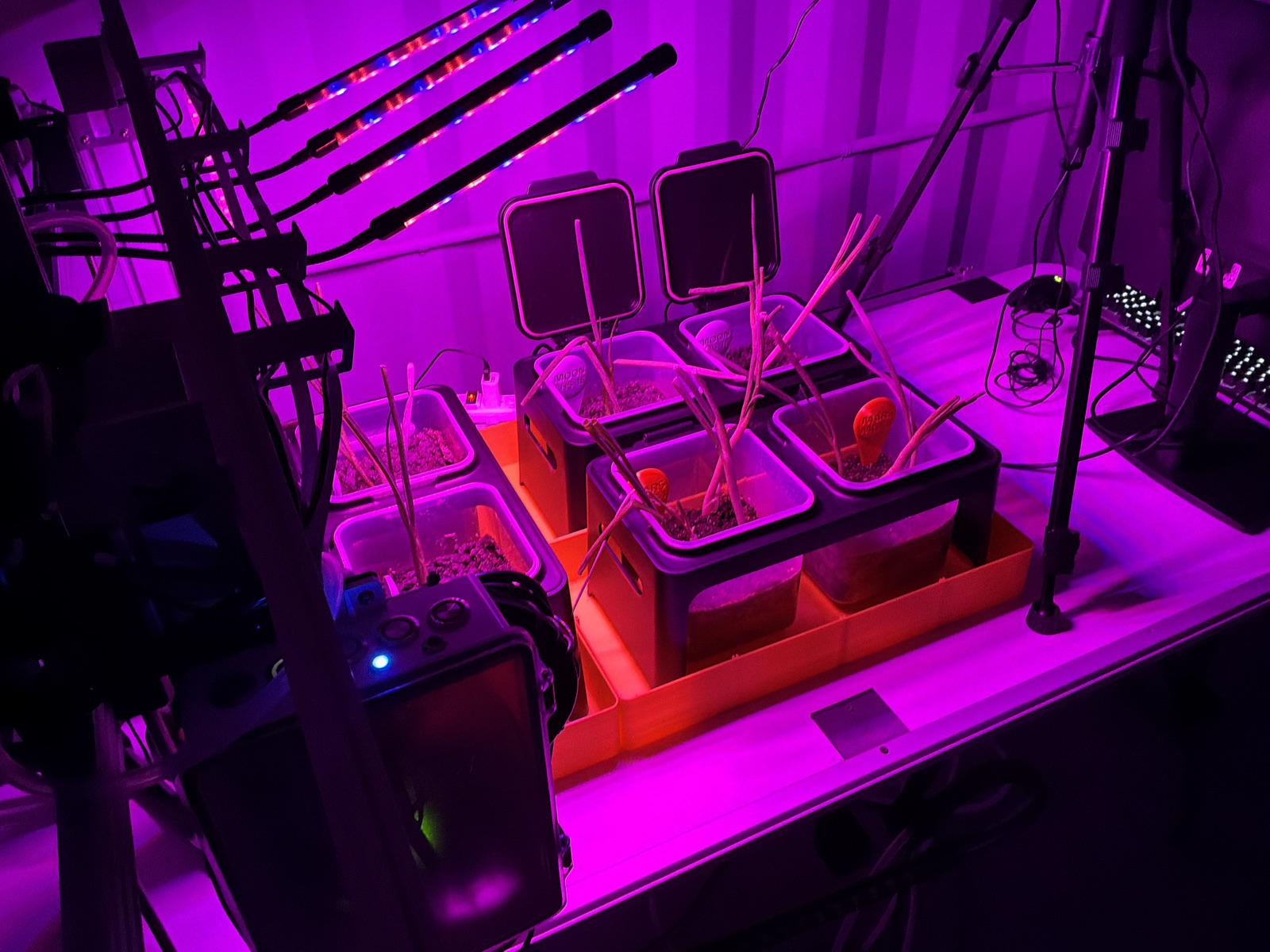 AgTech Lab / AgroBrain photo 116