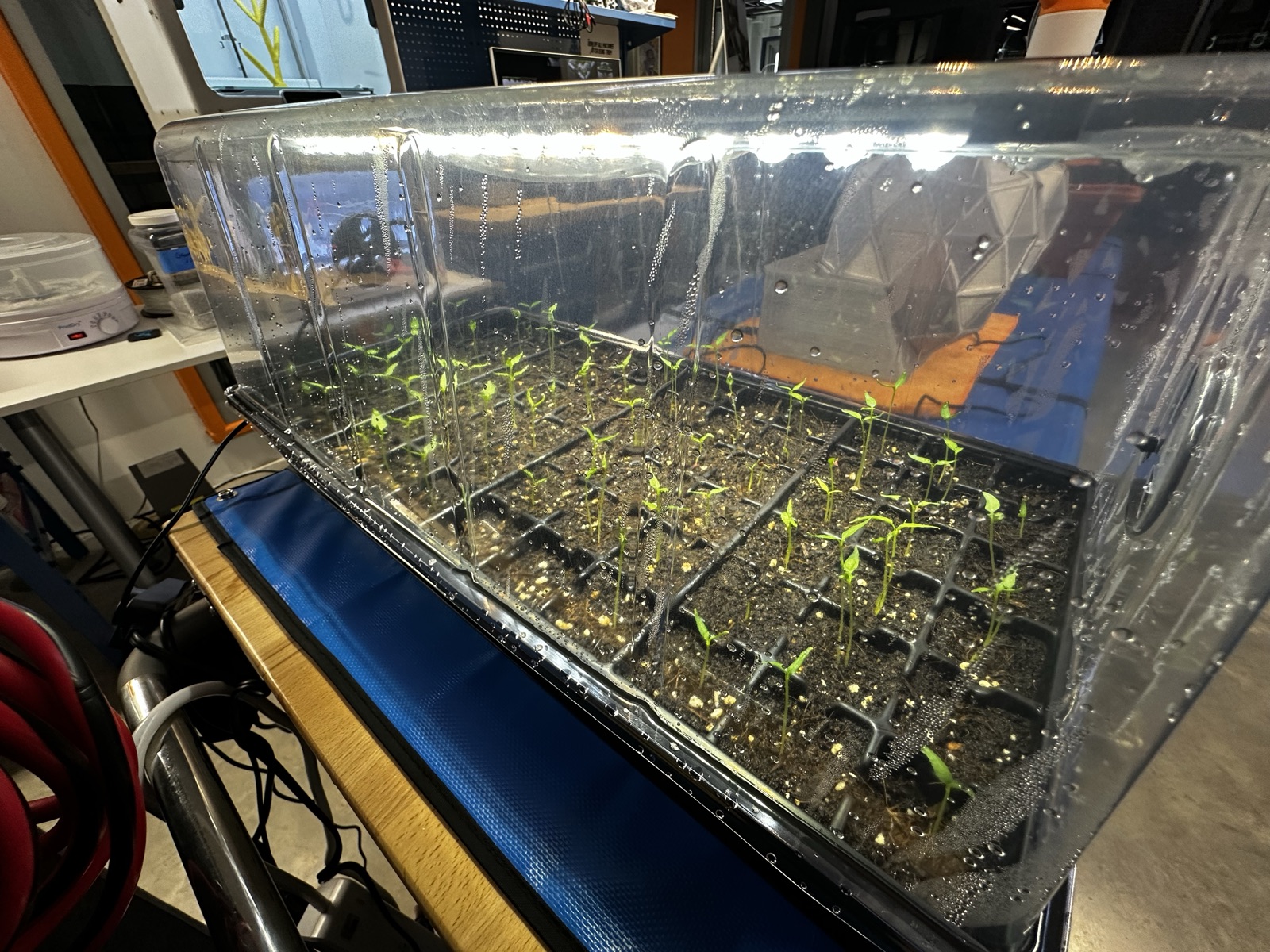 AgTech Lab / AgroBrain photo 118
