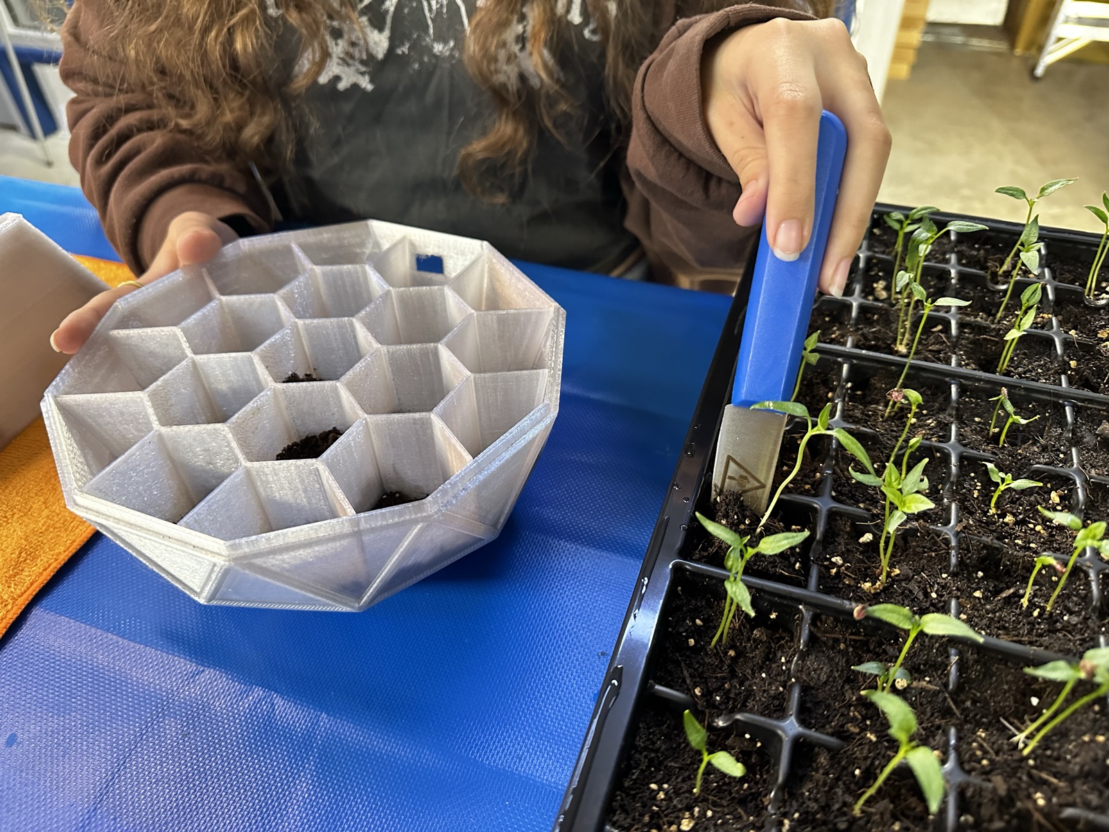 AgTech Lab / AgroBrain photo 125