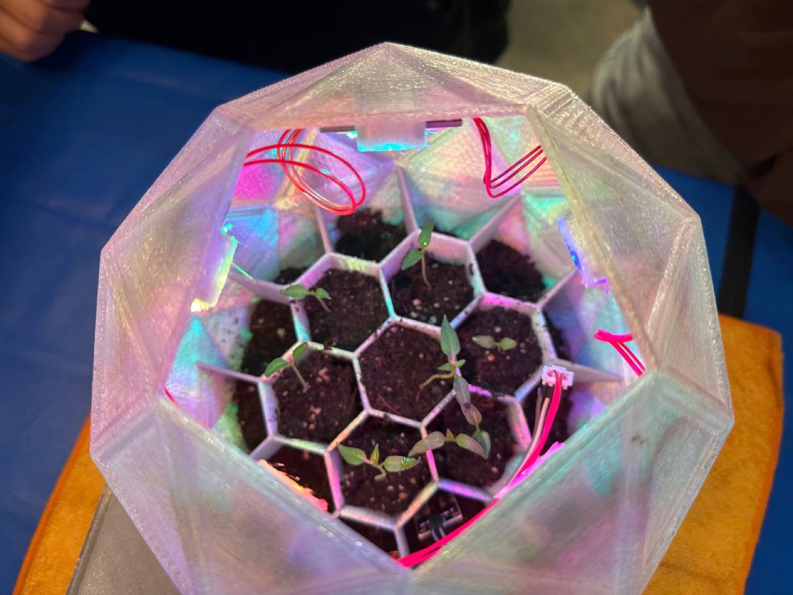 AgTech Lab / AgroBrain photo 132