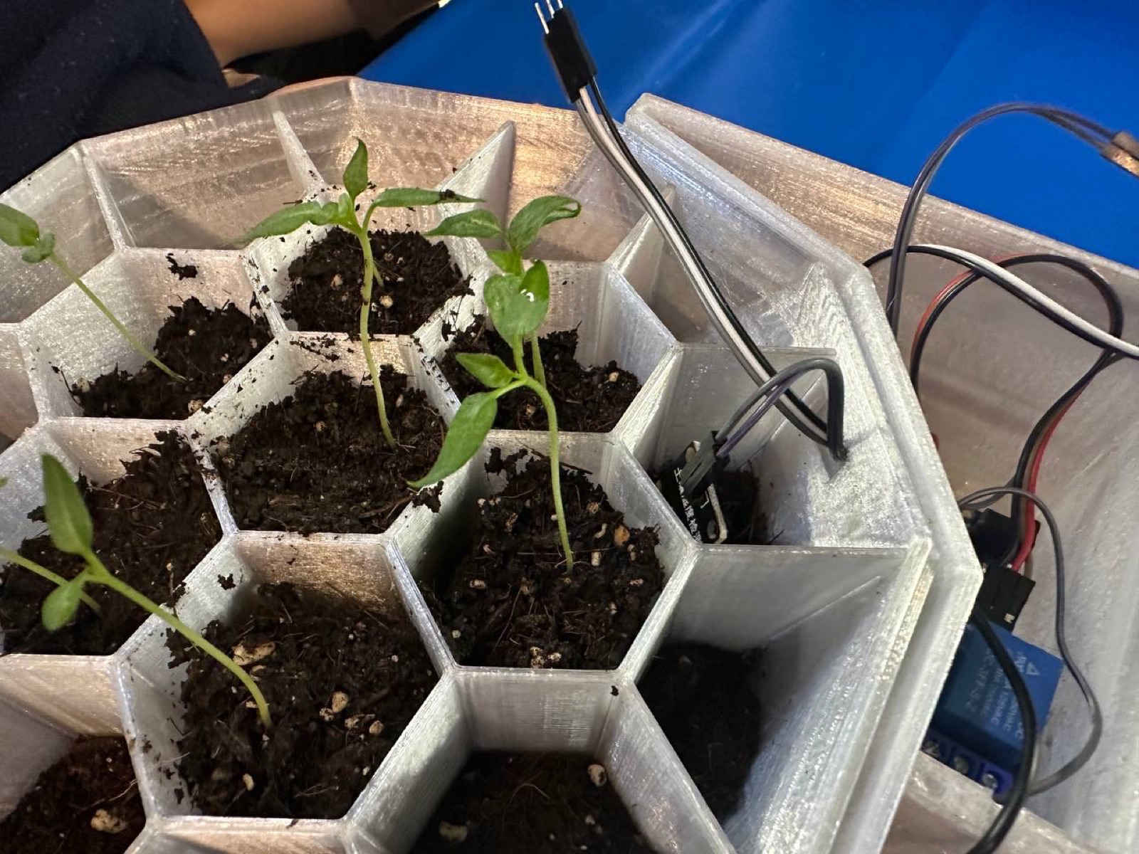 AgTech Lab / AgroBrain photo 133