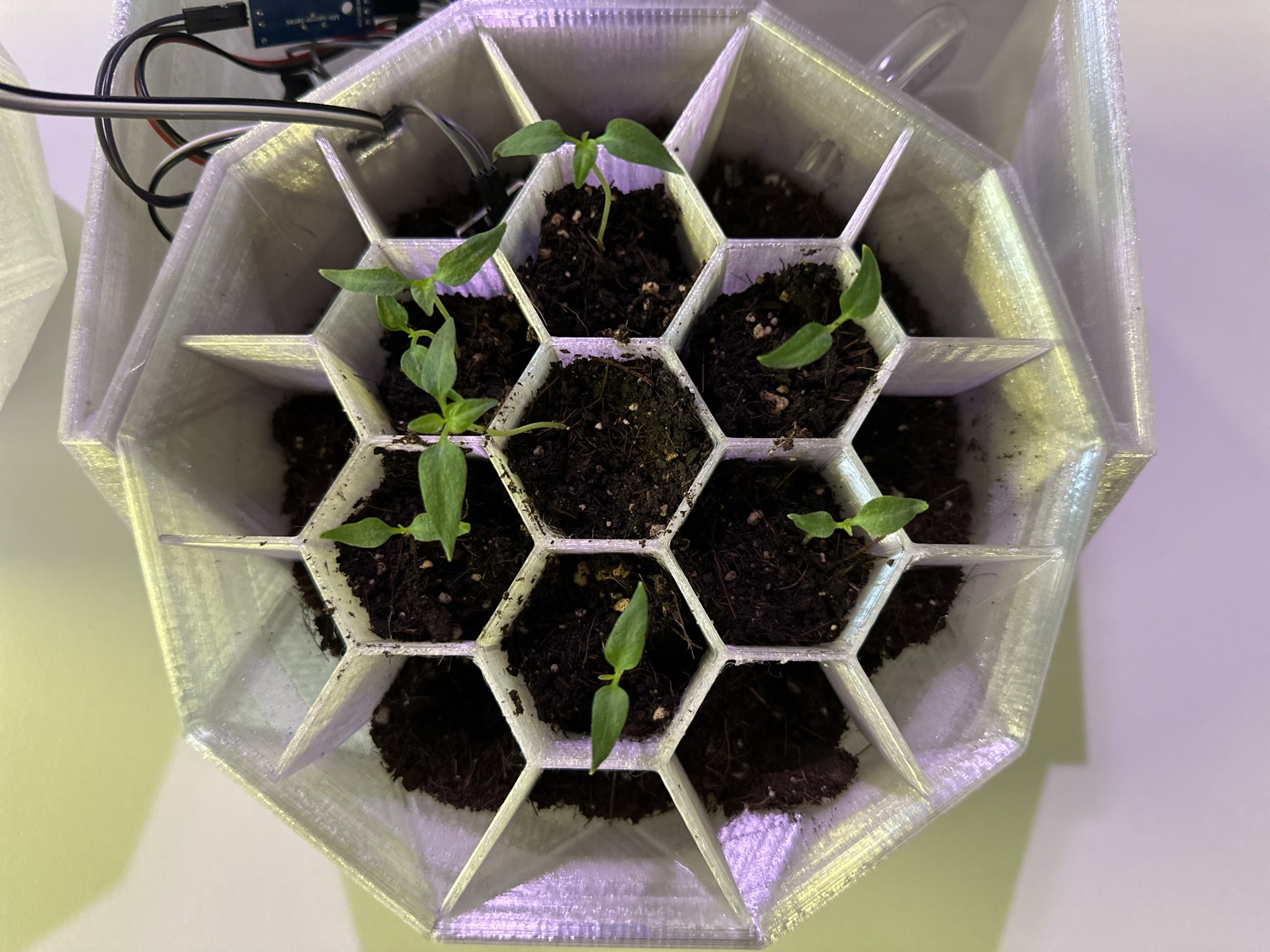 AgTech Lab / AgroBrain photo 138