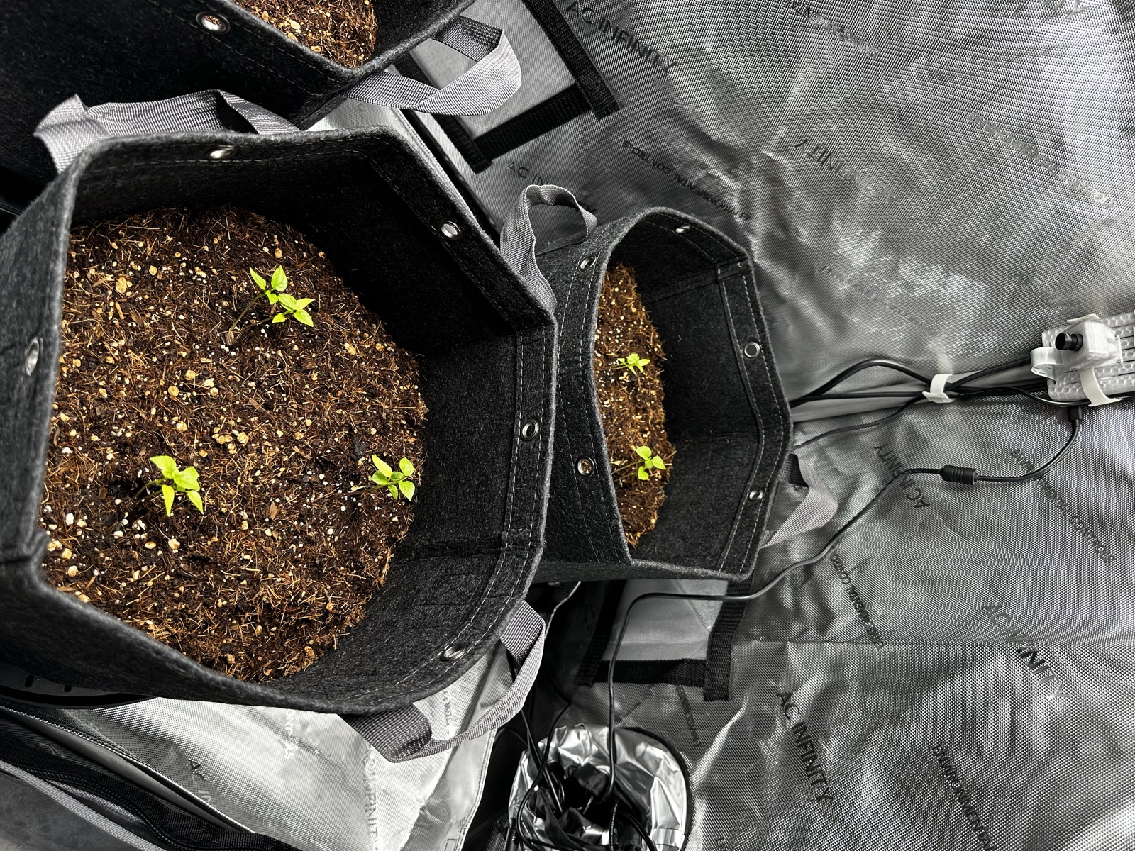 AgTech Lab / AgroBrain photo 162