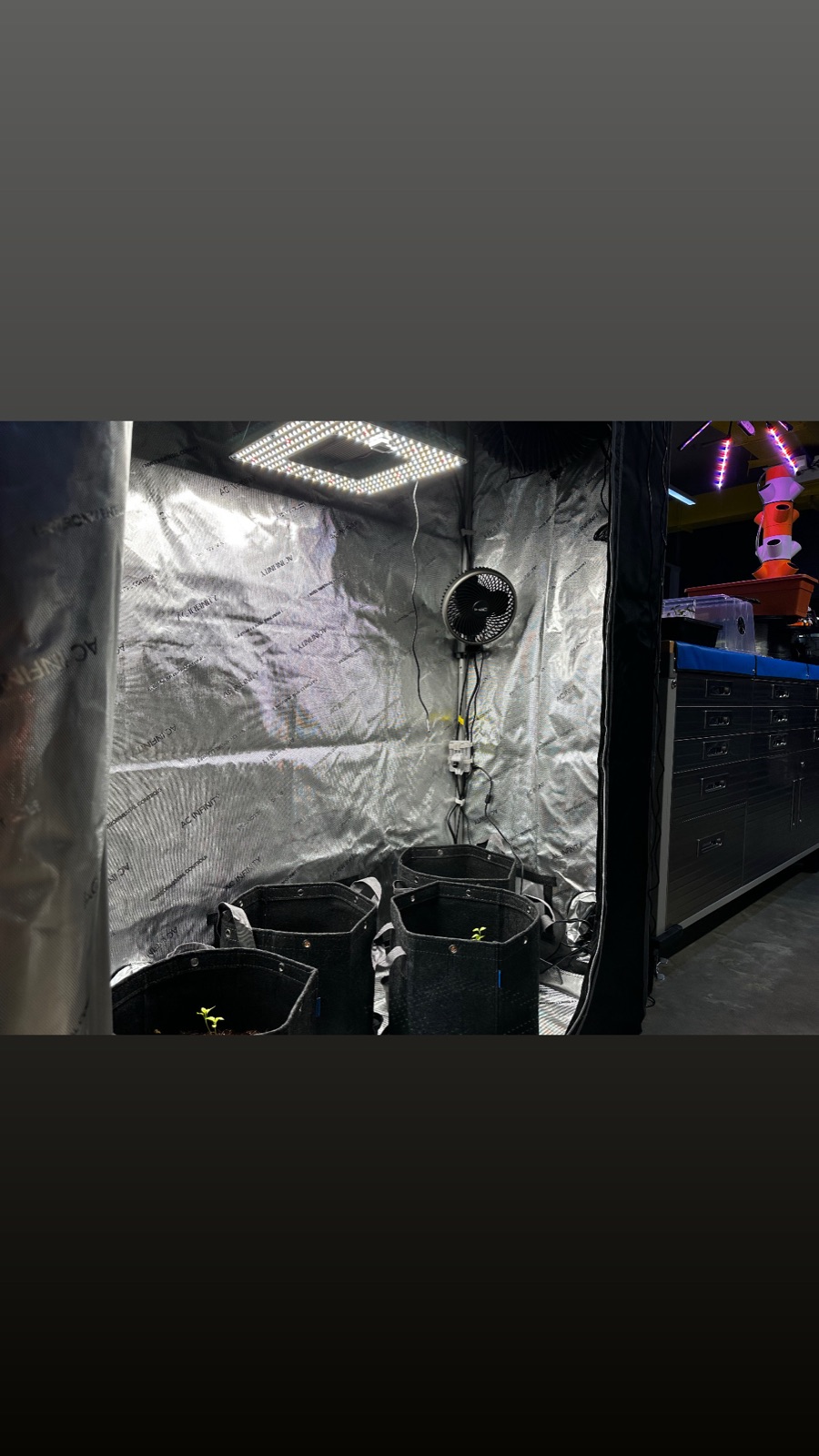 AgTech Lab / AgroBrain photo 17