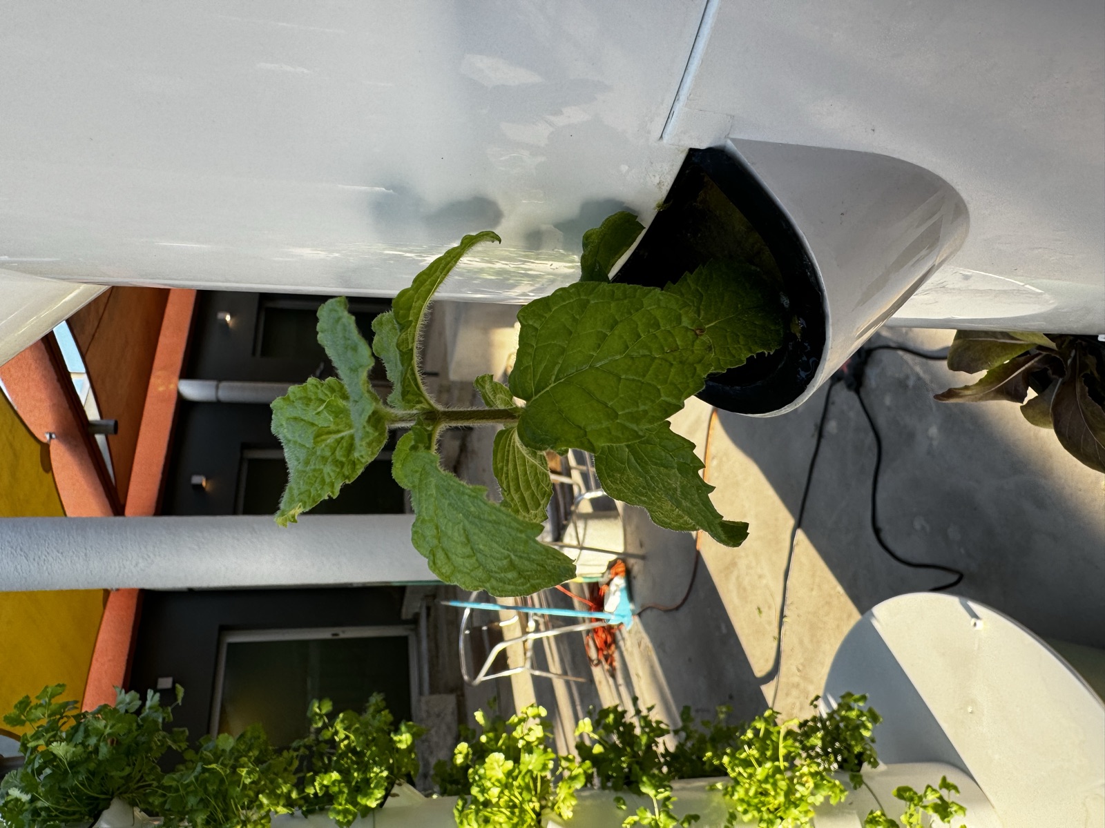 AgTech Lab / AgroBrain photo 173