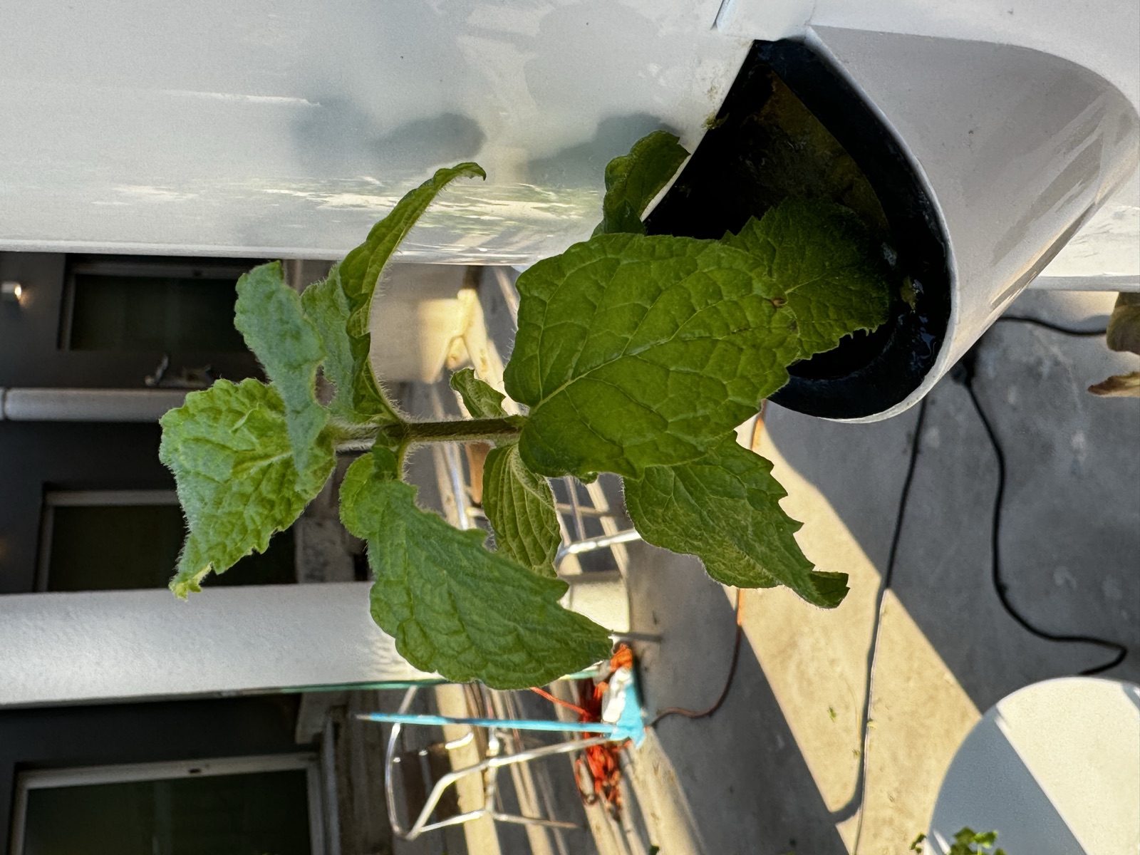 AgTech Lab / AgroBrain photo 174
