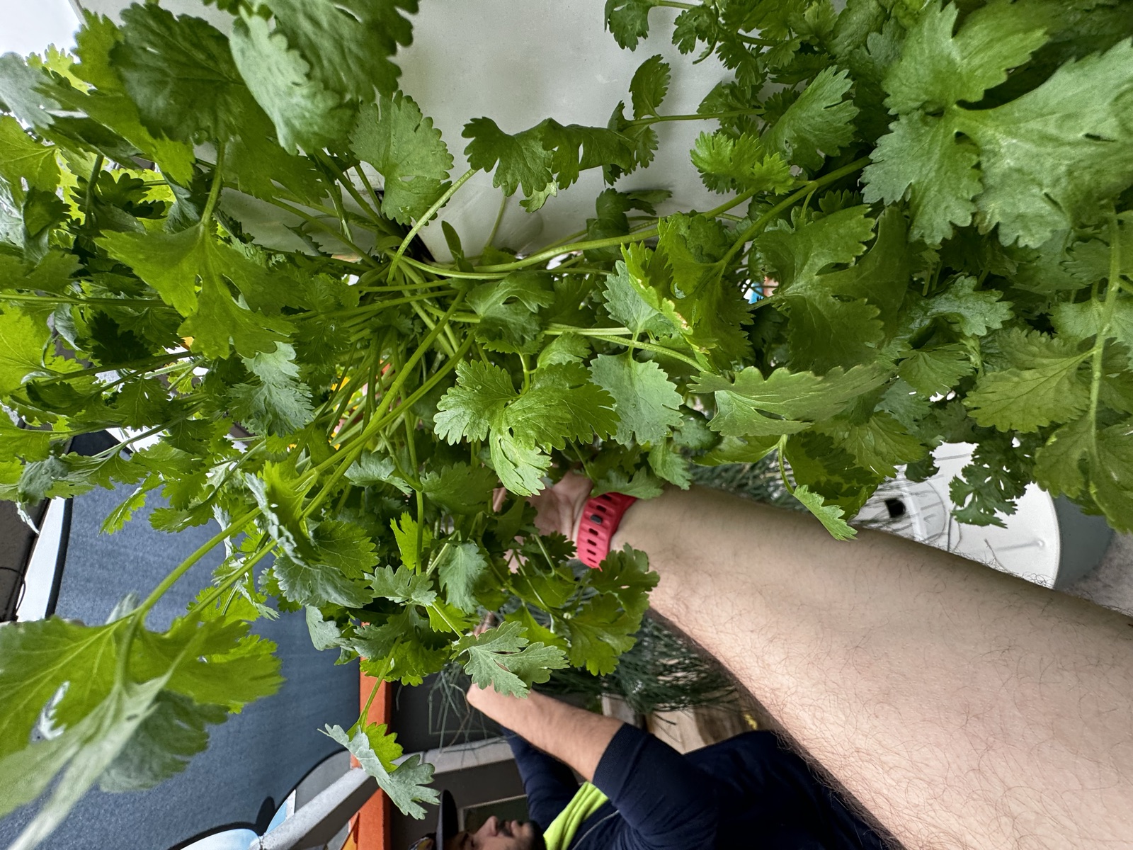 AgTech Lab / AgroBrain photo 179