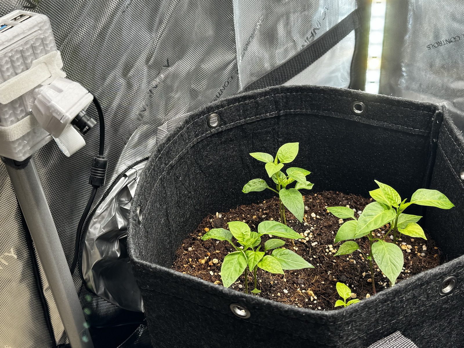 AgTech Lab / AgroBrain photo 183