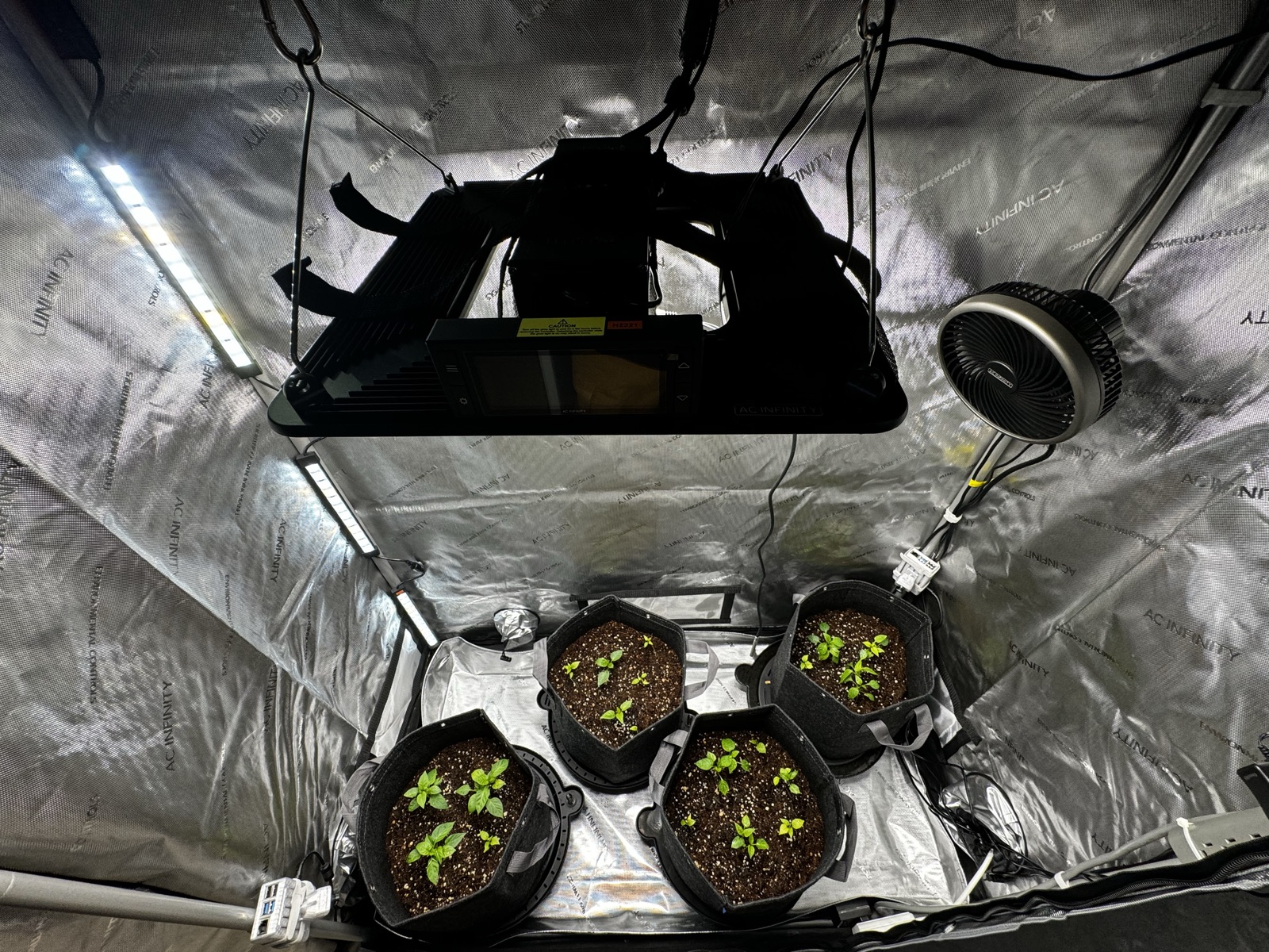 AgTech Lab / AgroBrain photo 184