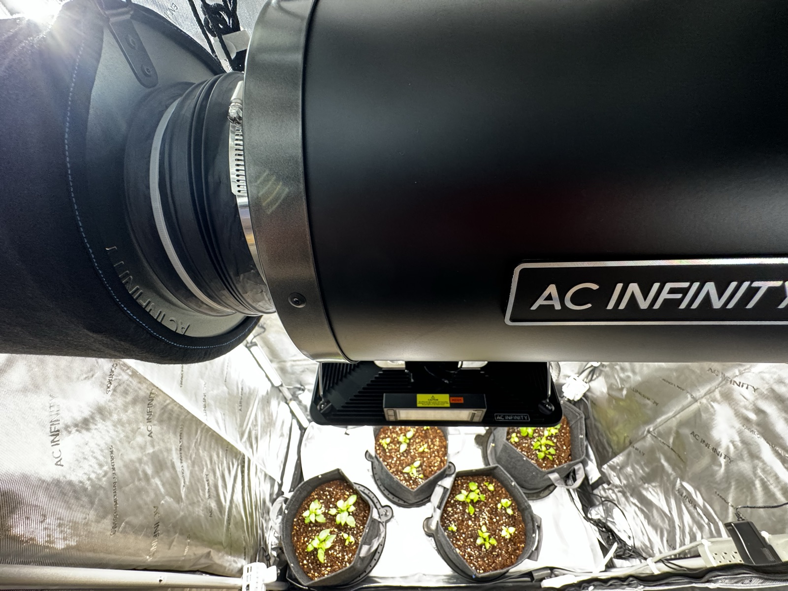 AgTech Lab / AgroBrain photo 185