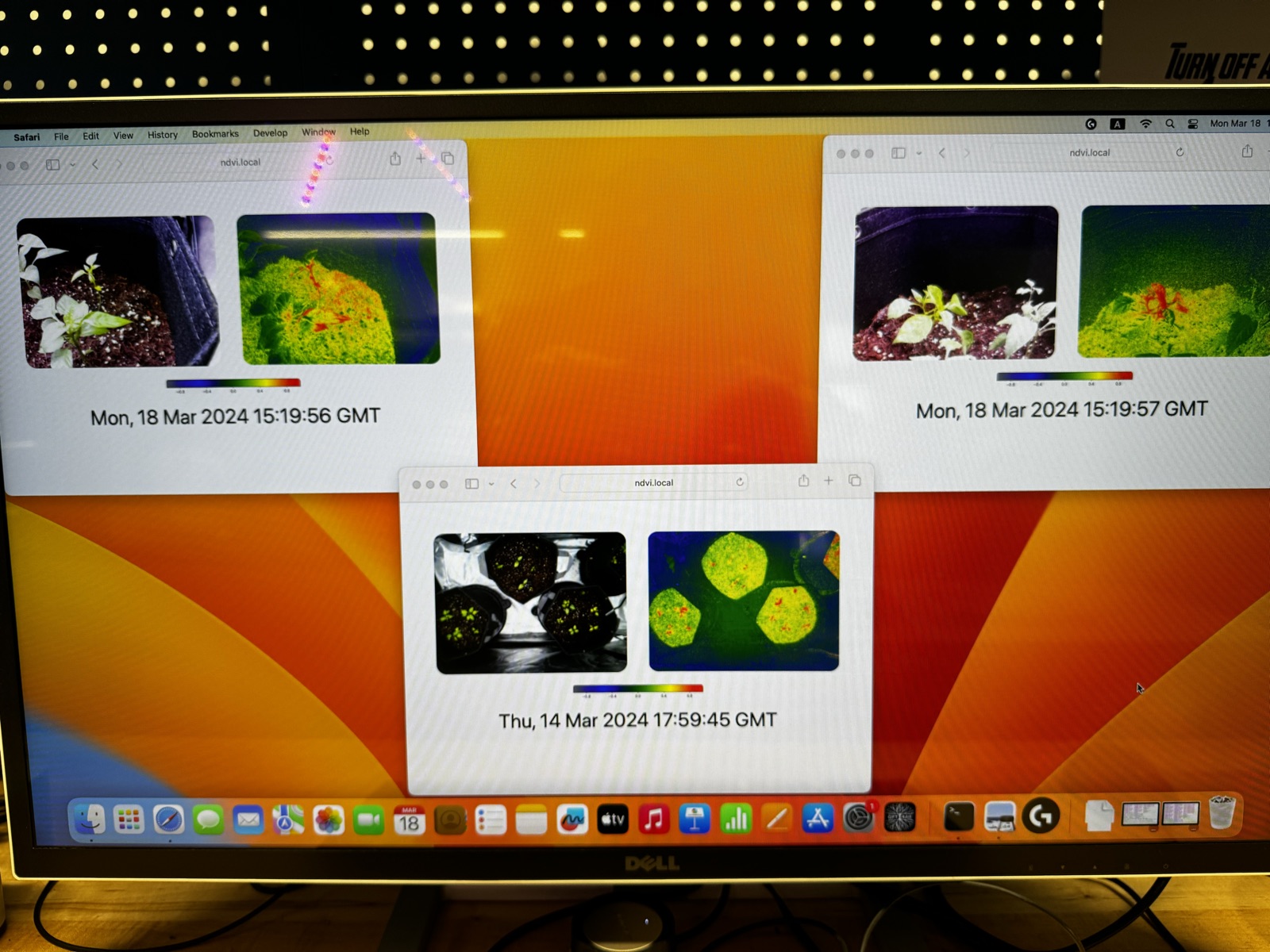 AgTech Lab / AgroBrain photo 186