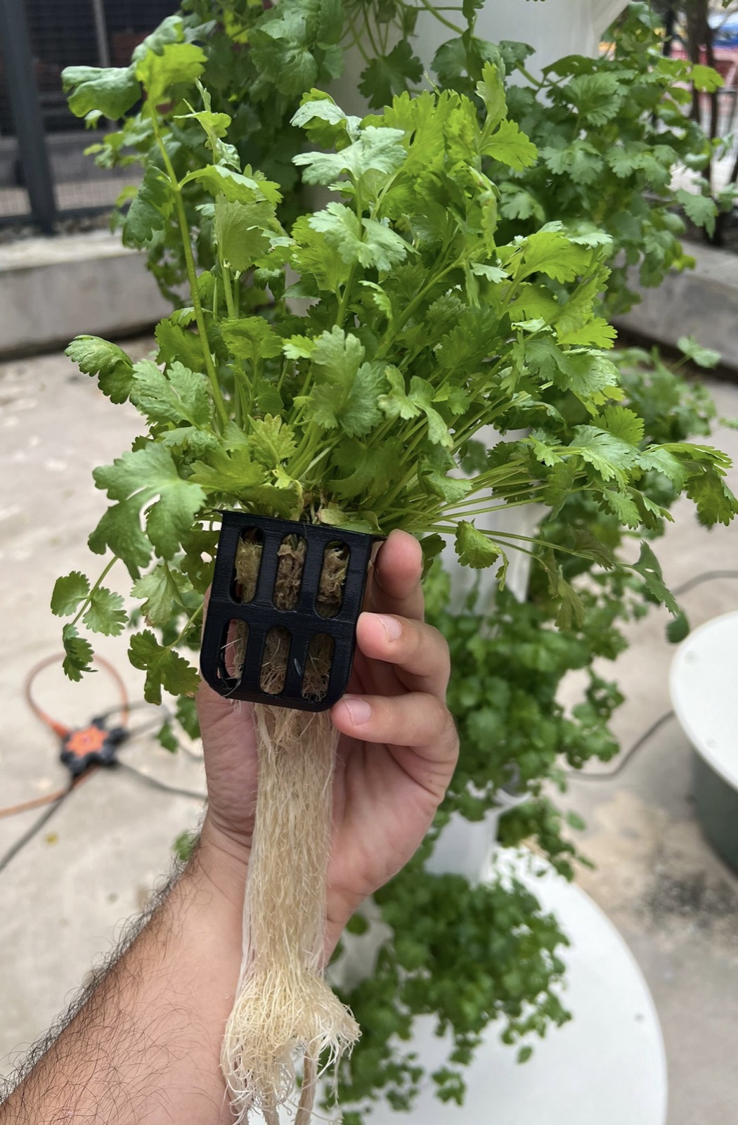 AgTech Lab / AgroBrain photo 19