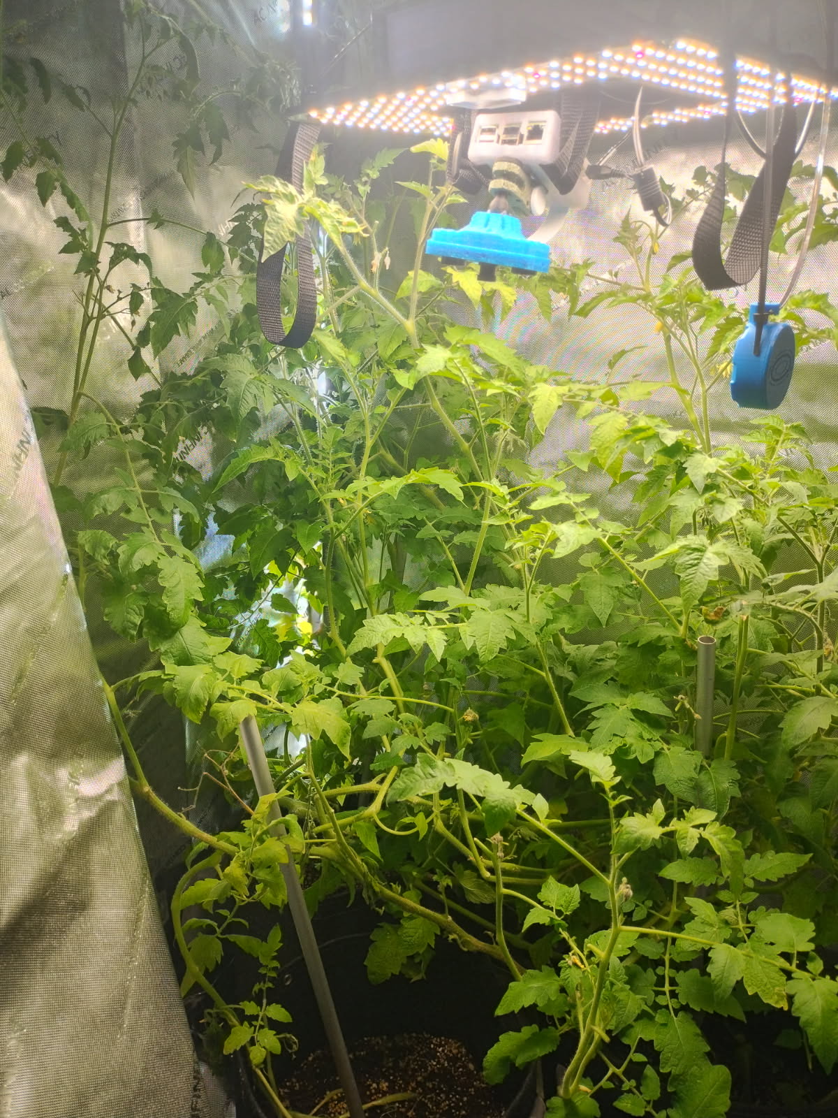 AgTech Lab / AgroBrain photo 20
