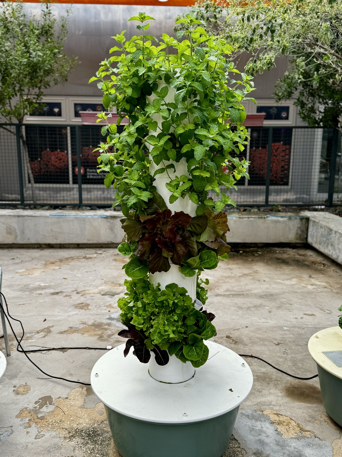 AgTech Lab / AgroBrain photo 207