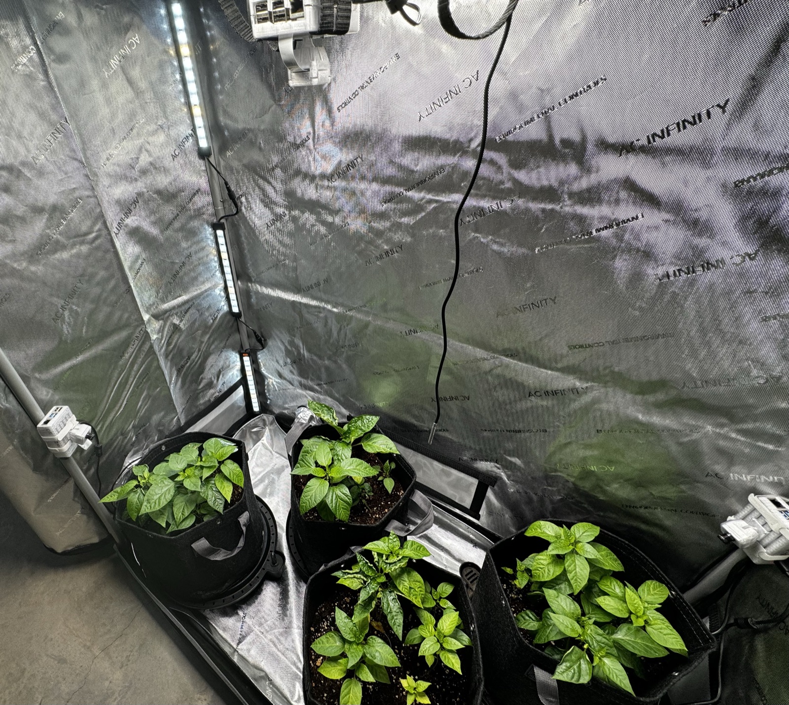 AgTech Lab / AgroBrain photo 208