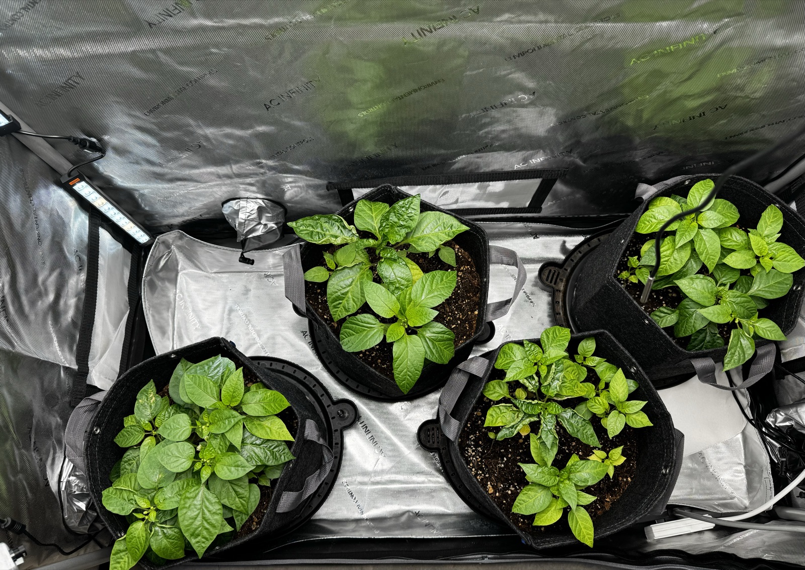 AgTech Lab / AgroBrain photo 210