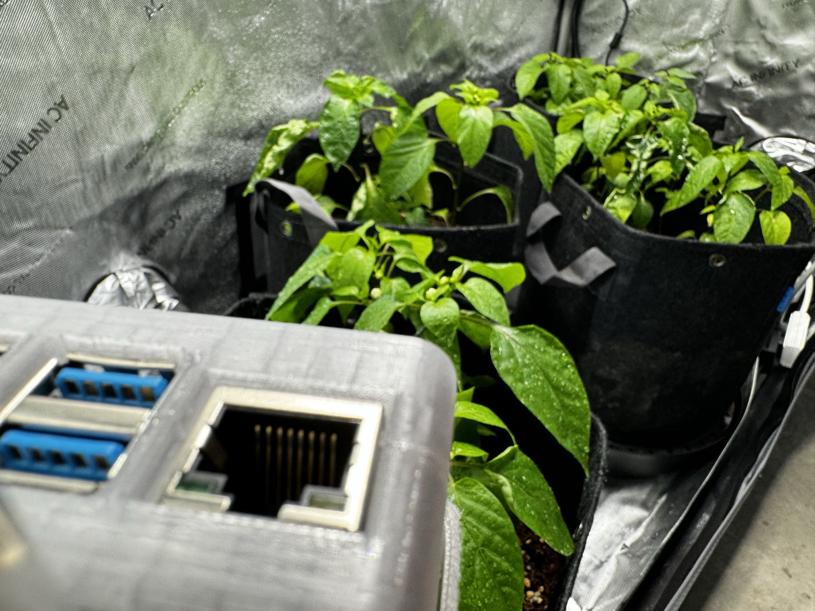 AgTech Lab / AgroBrain photo 215