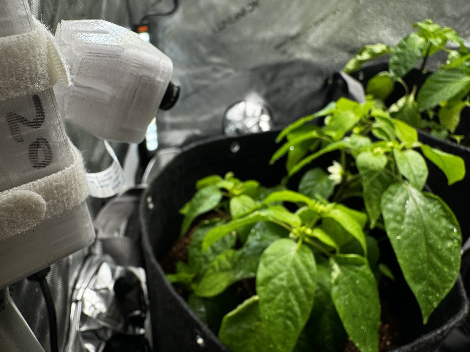 AgTech Lab / AgroBrain photo 216