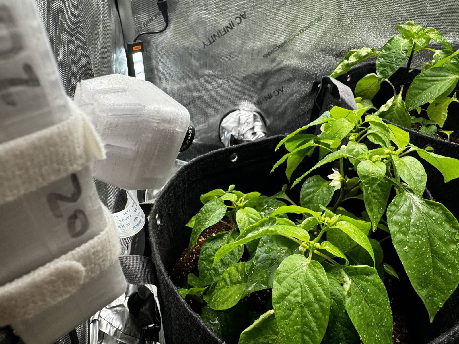 AgTech Lab / AgroBrain photo 217