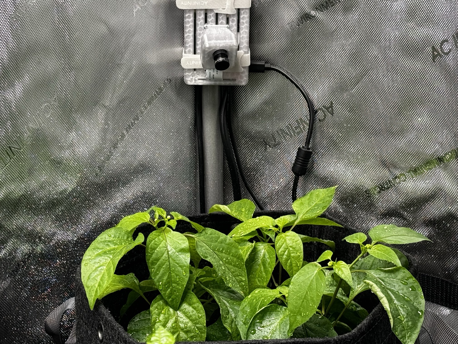 AgTech Lab / AgroBrain photo 218