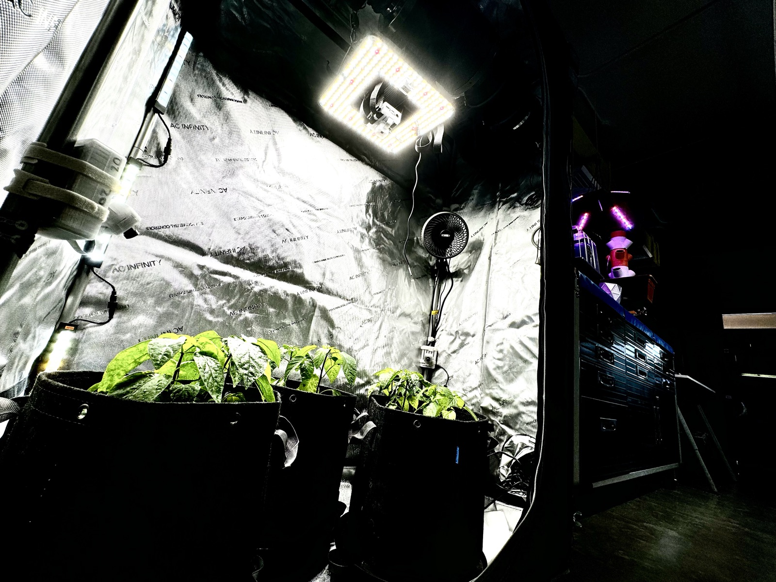 AgTech Lab / AgroBrain photo 219