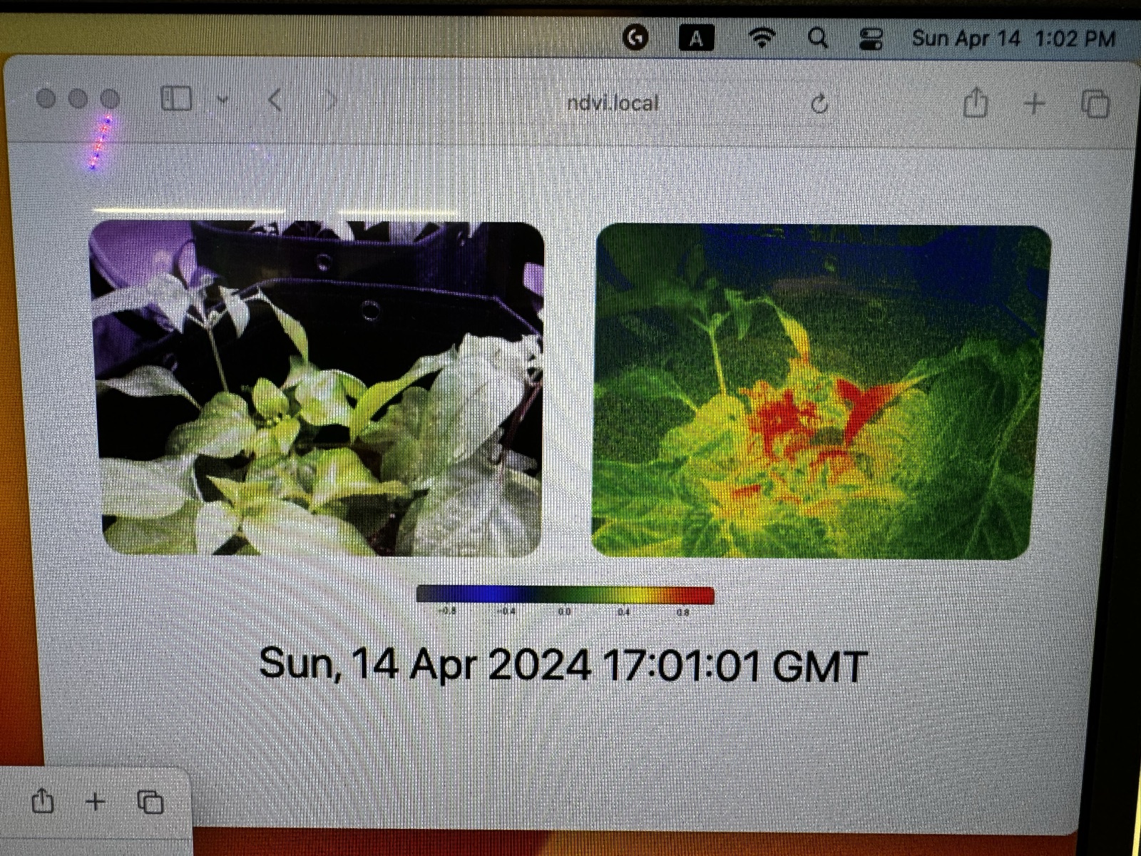 AgTech Lab / AgroBrain photo 220