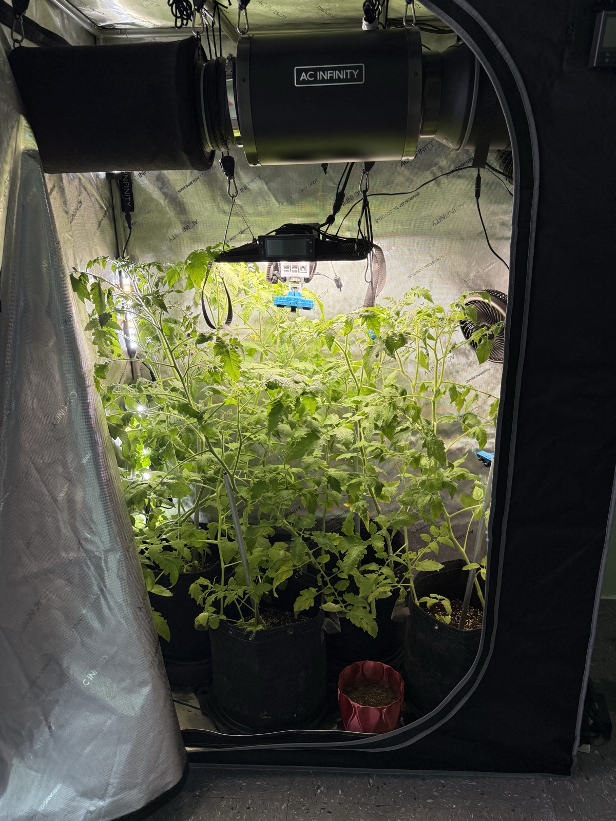 AgTech Lab / AgroBrain photo 221