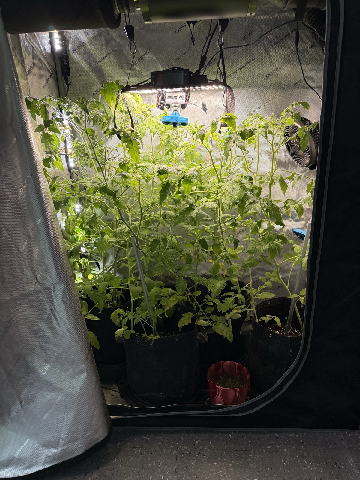 AgTech Lab / AgroBrain photo 222