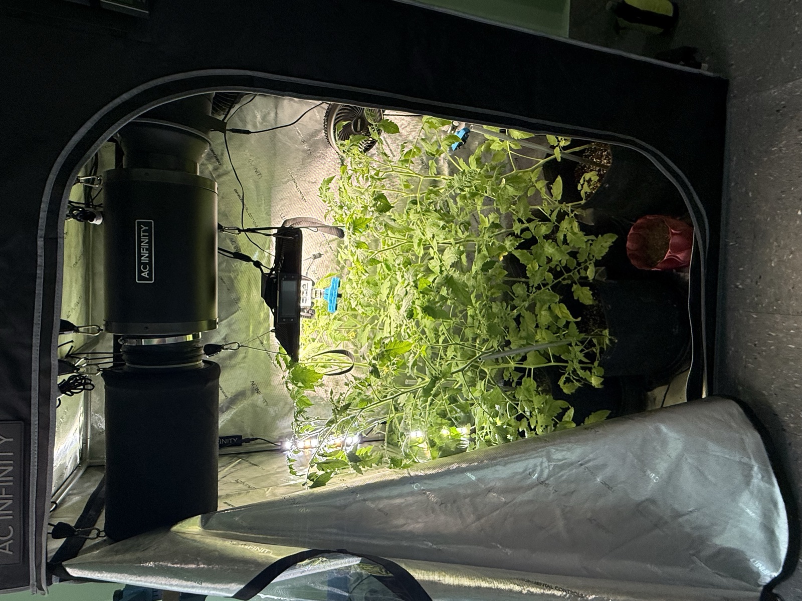 AgTech Lab / AgroBrain photo 223
