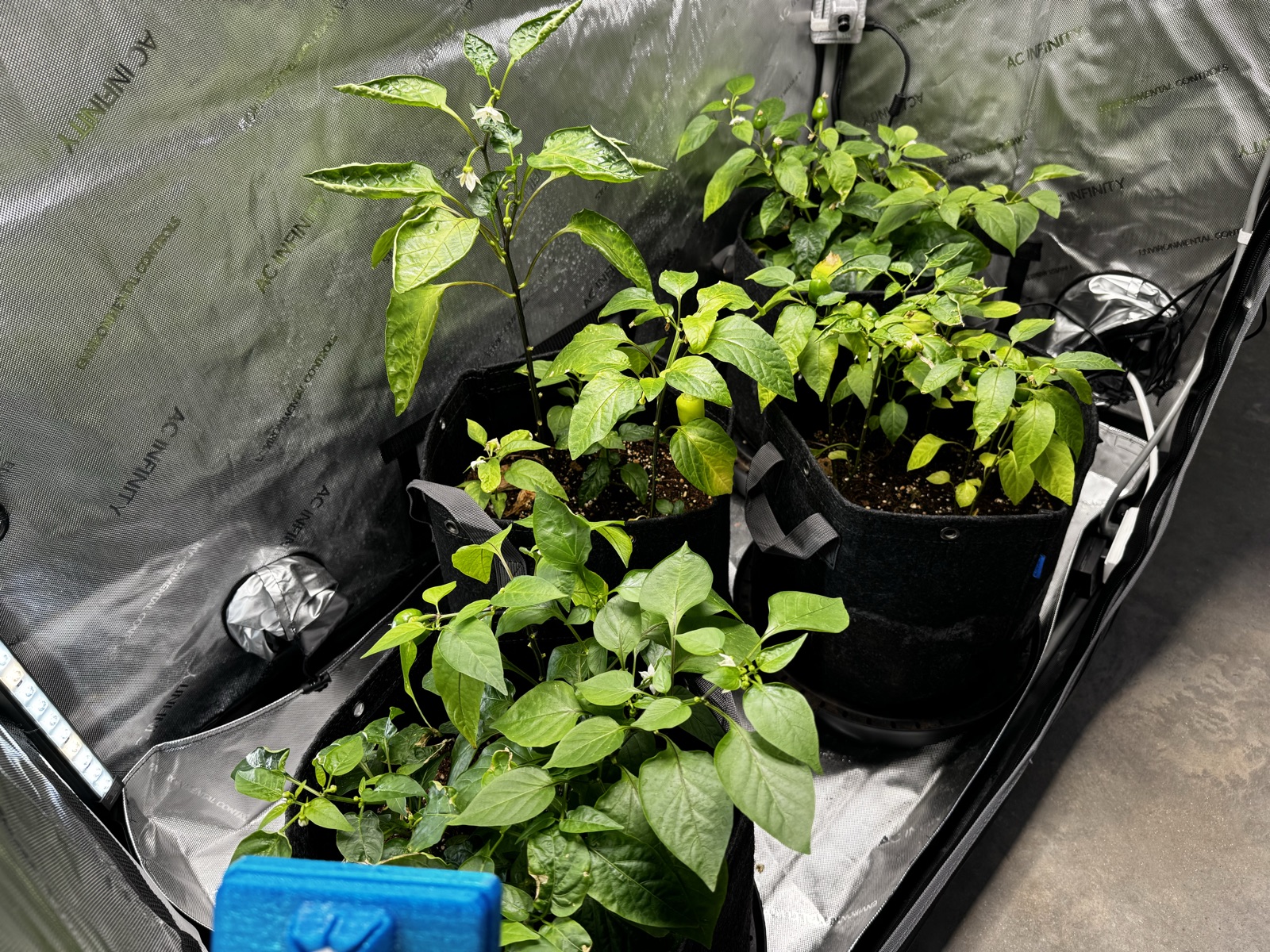 AgTech Lab / AgroBrain photo 244