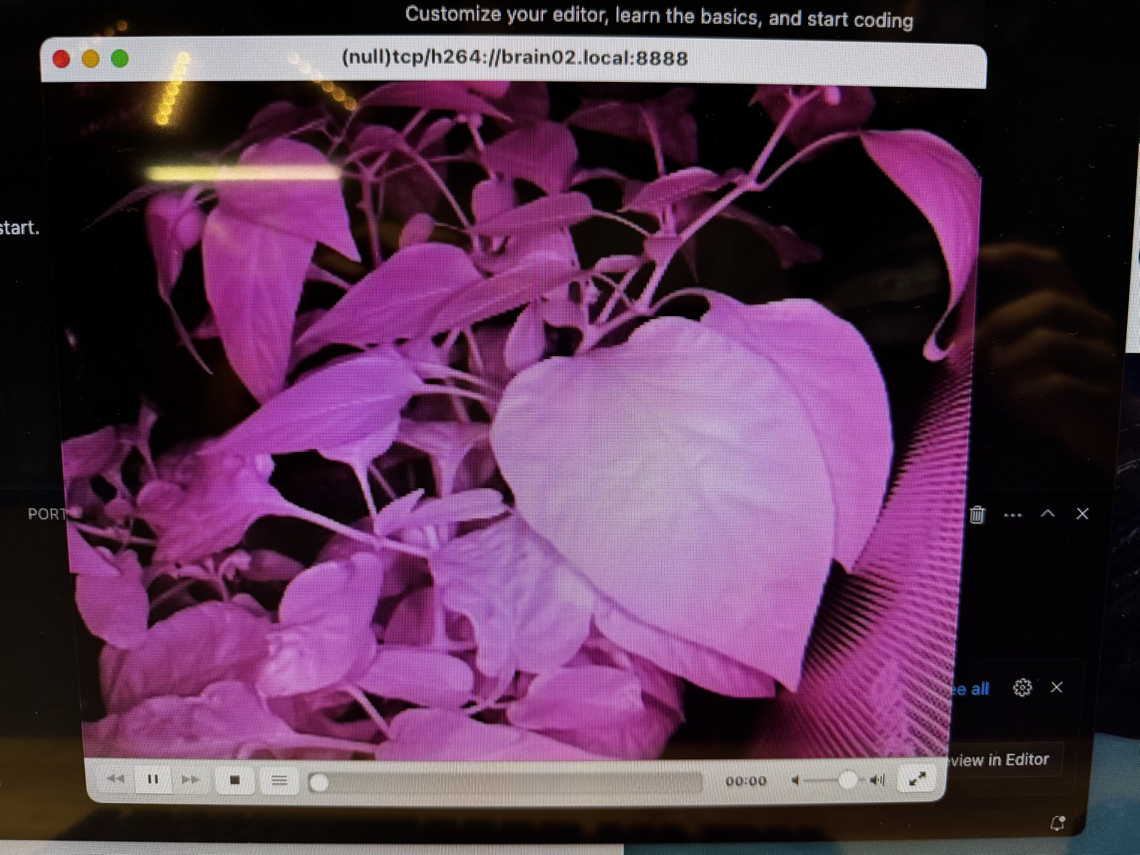 AgTech Lab / AgroBrain photo 247
