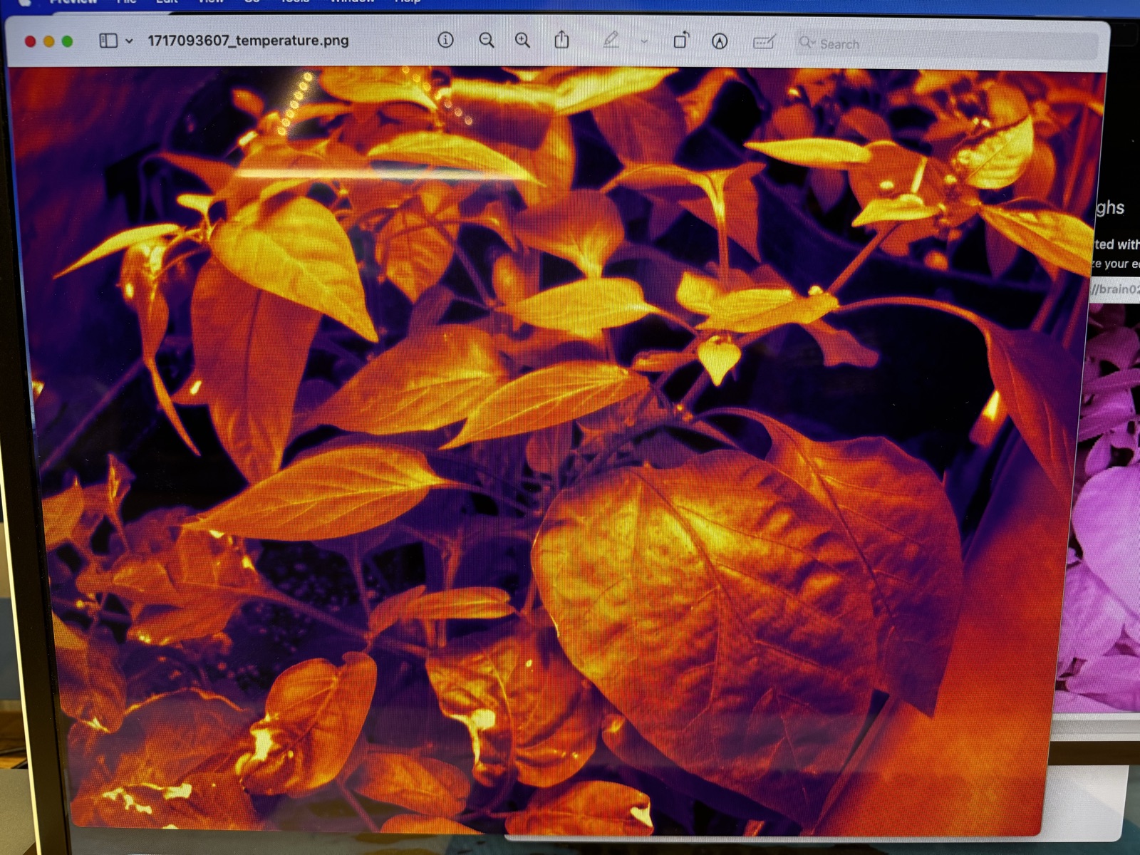 AgTech Lab / AgroBrain photo 248