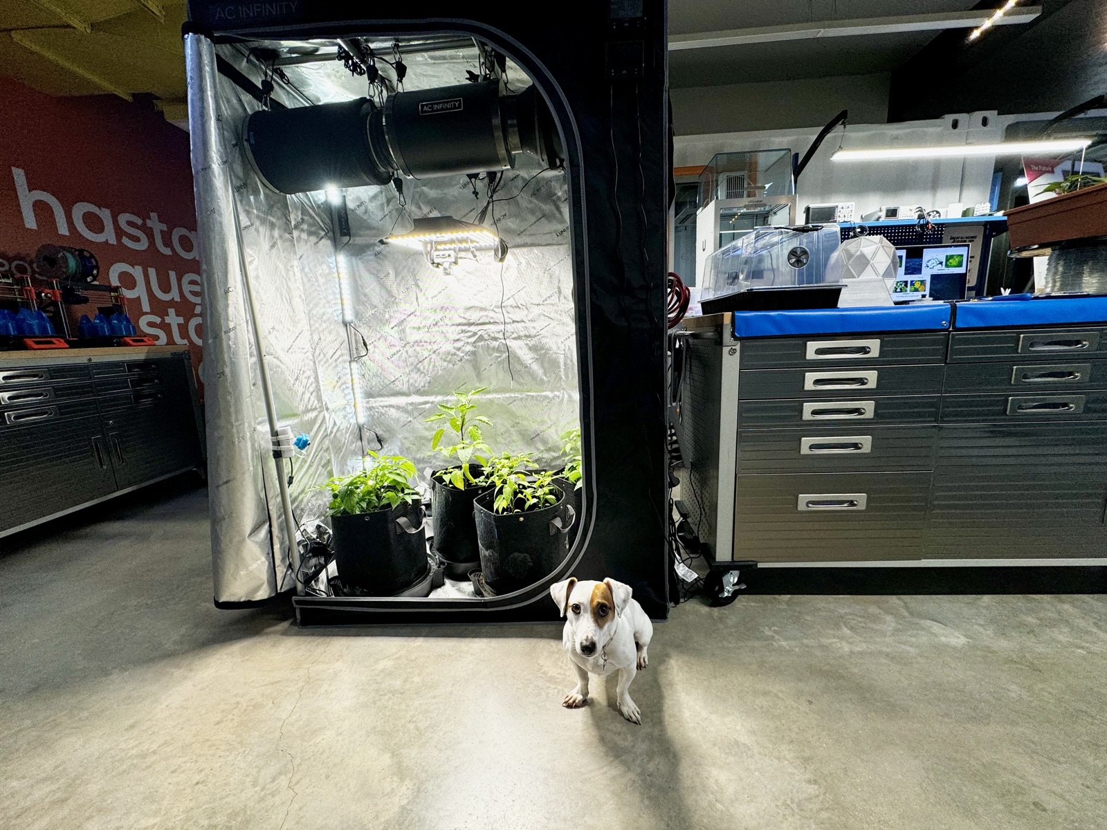 AgTech Lab / AgroBrain photo 255