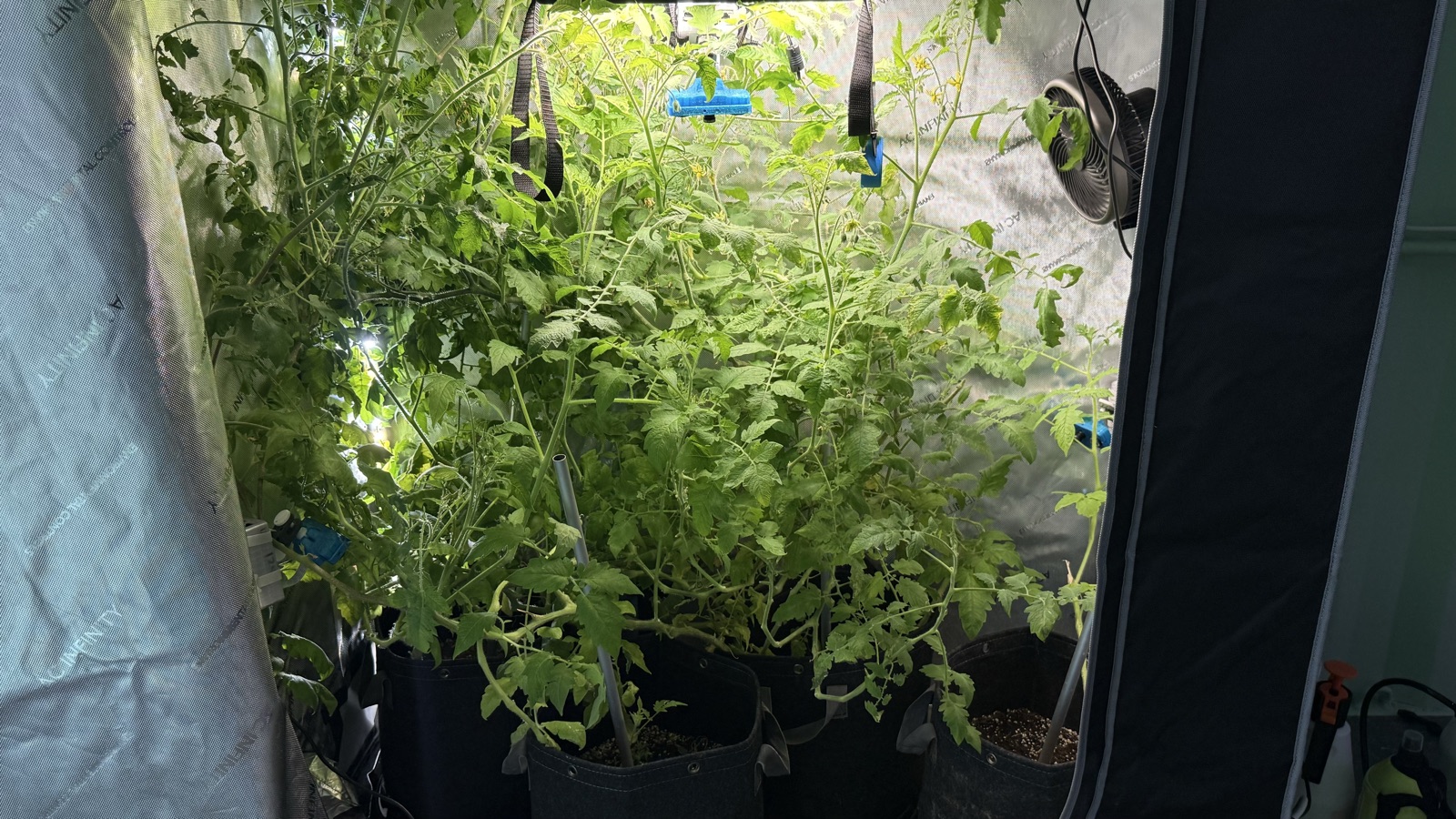 AgTech Lab / AgroBrain photo 259