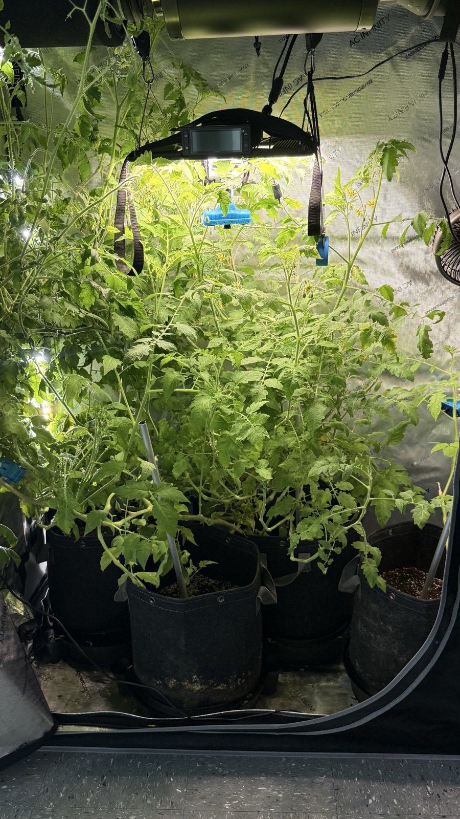 AgTech Lab / AgroBrain photo 260
