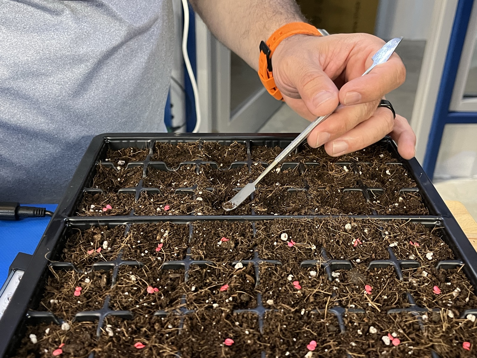 AgTech Lab / AgroBrain photo 275