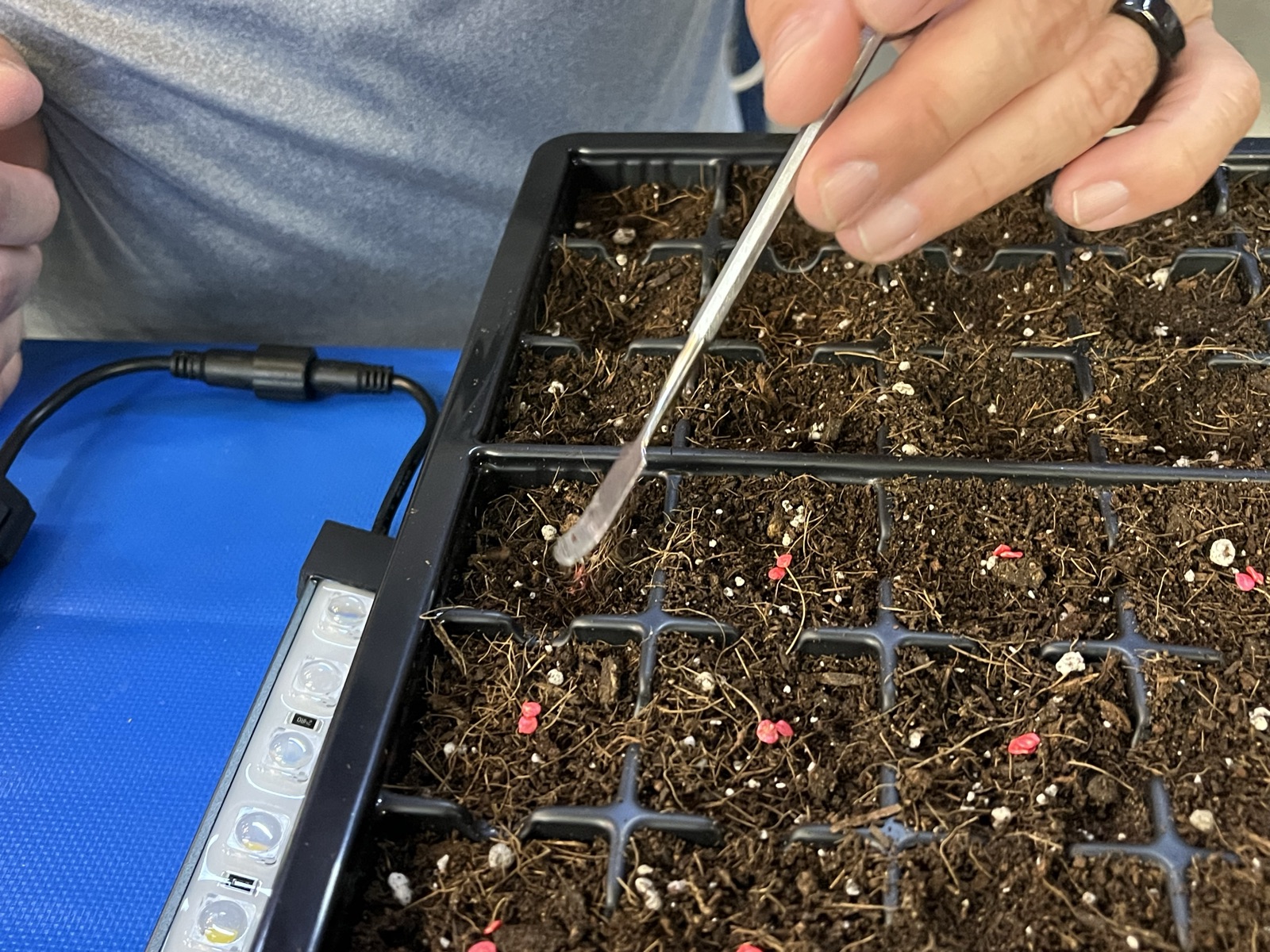 AgTech Lab / AgroBrain photo 276