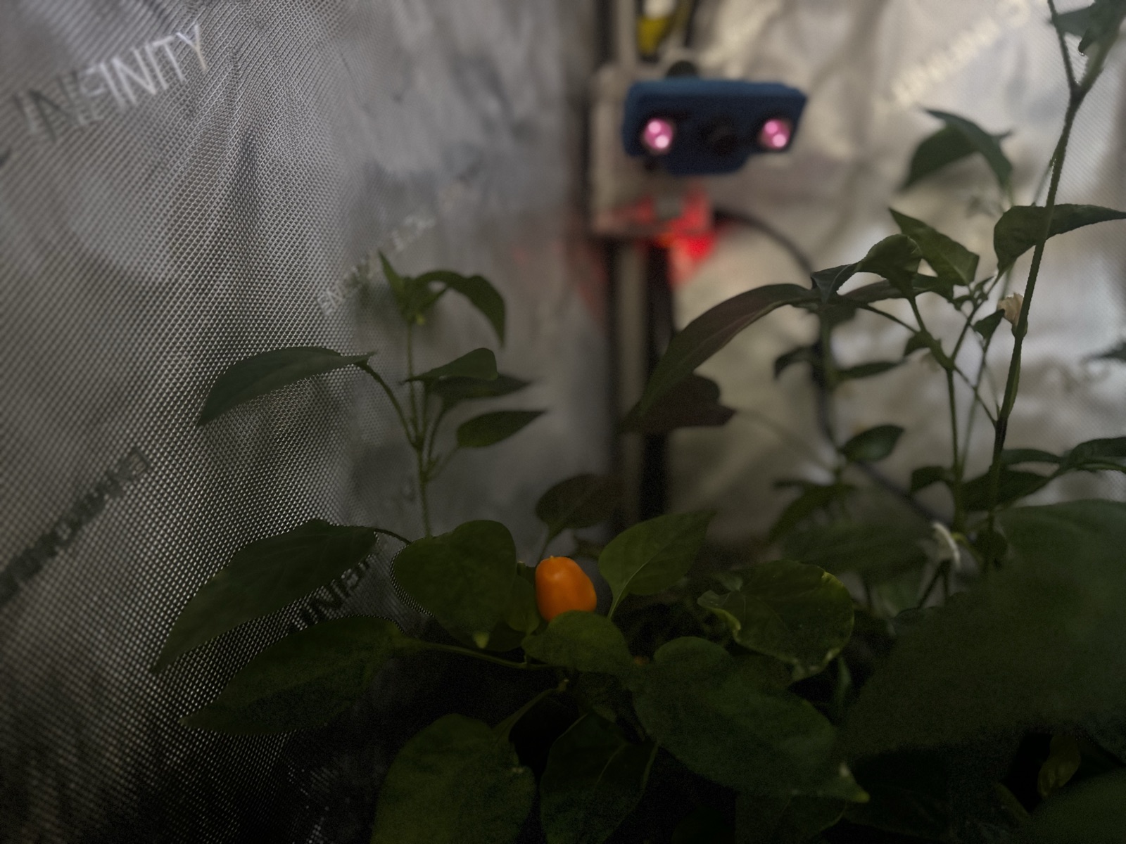 AgTech Lab / AgroBrain photo 277