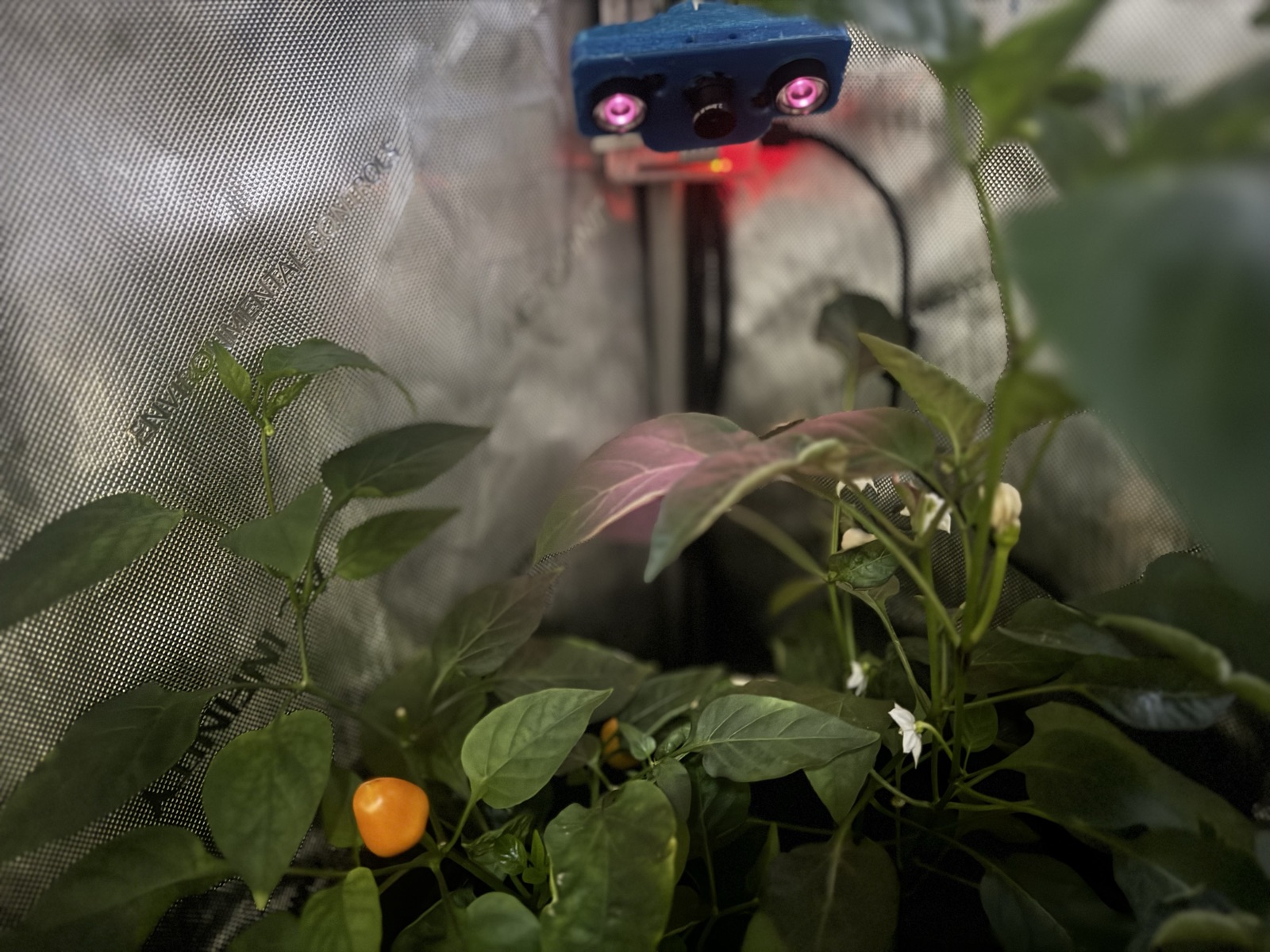 AgTech Lab / AgroBrain photo 278