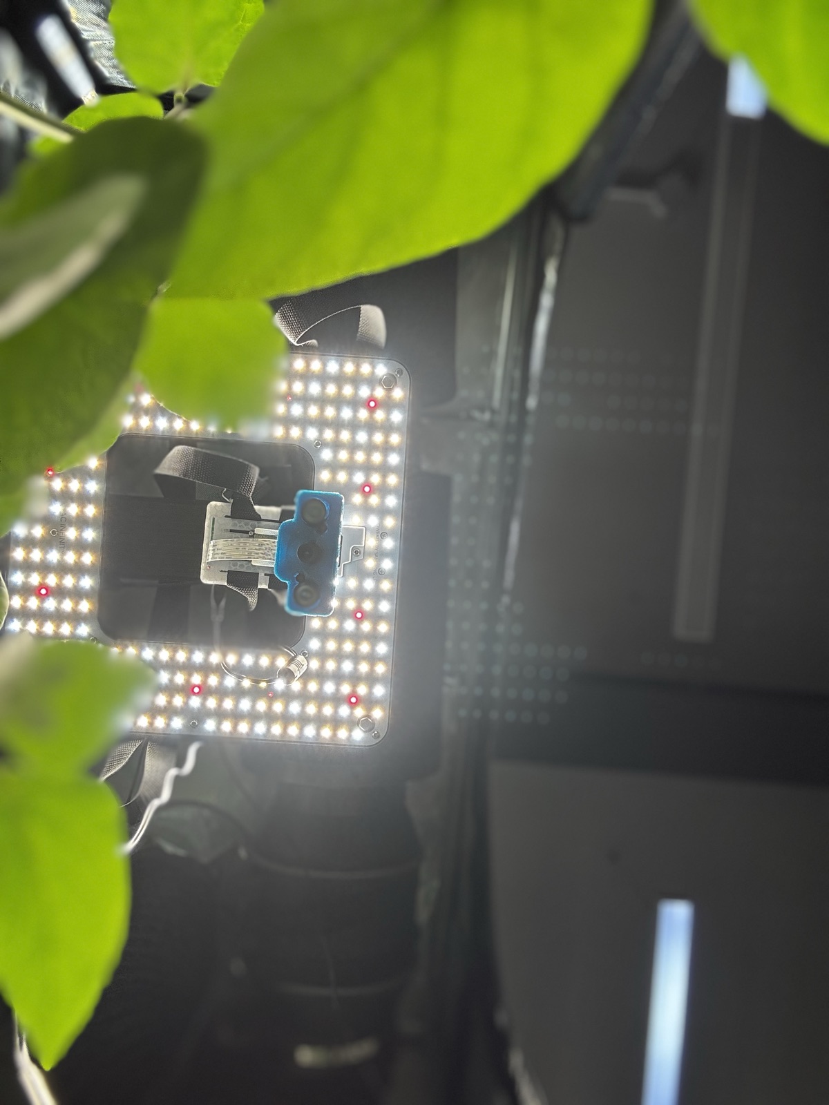 AgTech Lab / AgroBrain photo 284