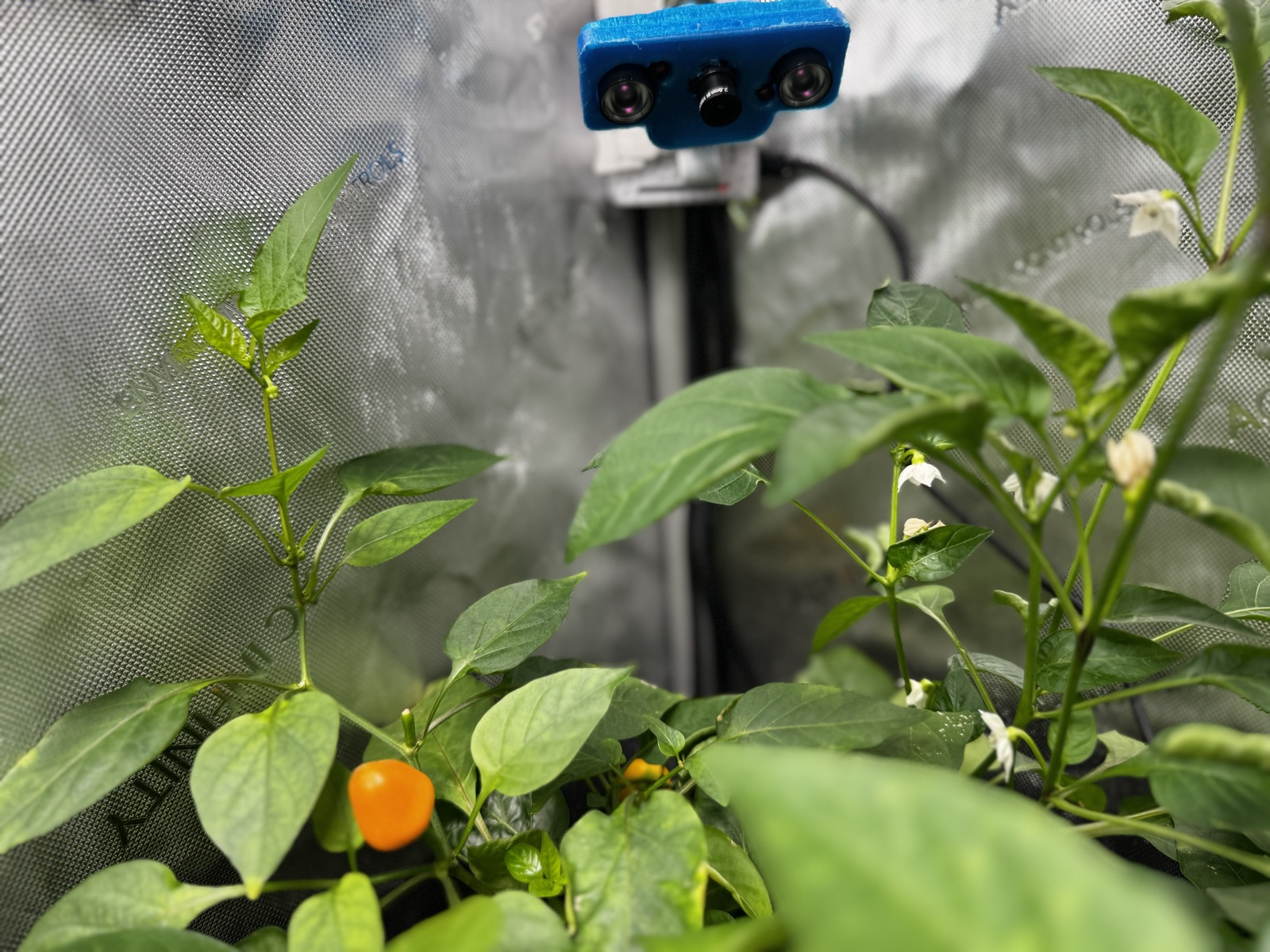 AgTech Lab / AgroBrain photo 285