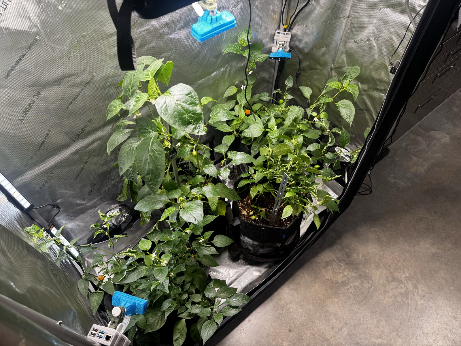 AgTech Lab / AgroBrain photo 295