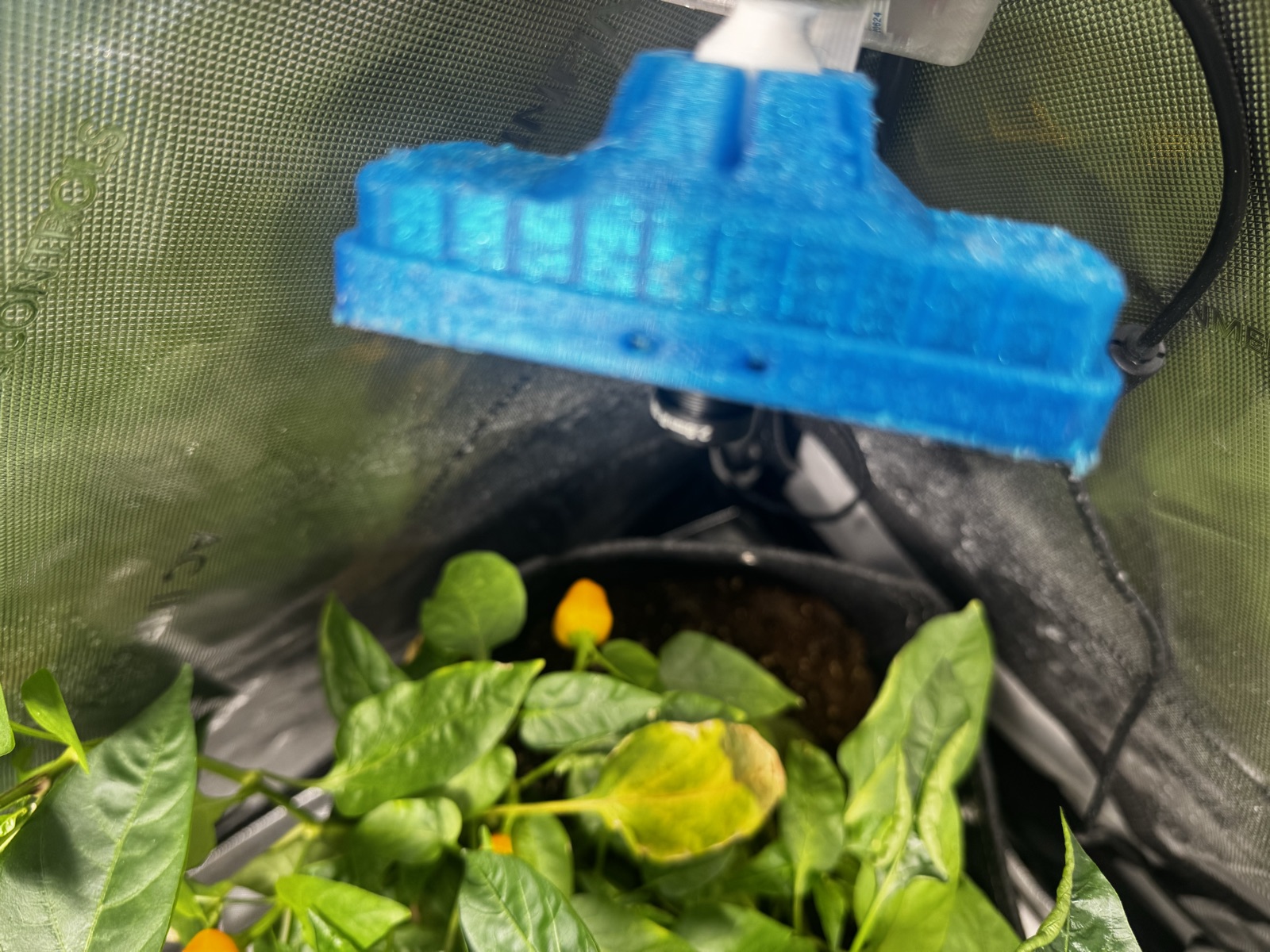 AgTech Lab / AgroBrain photo 299